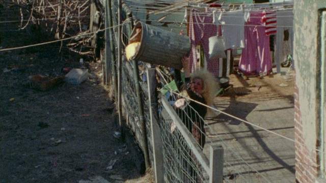 seria-50675.jpg