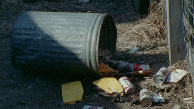 Wide shot frame from Female Trouble — bottle, car tire