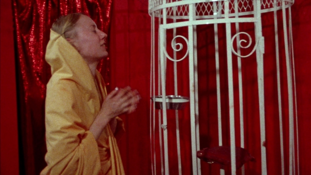 Wide shot frame from Female Trouble — standing, room, bird