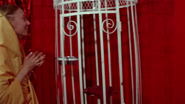 Wide shot frame from Female Trouble — standing, bird, curtain