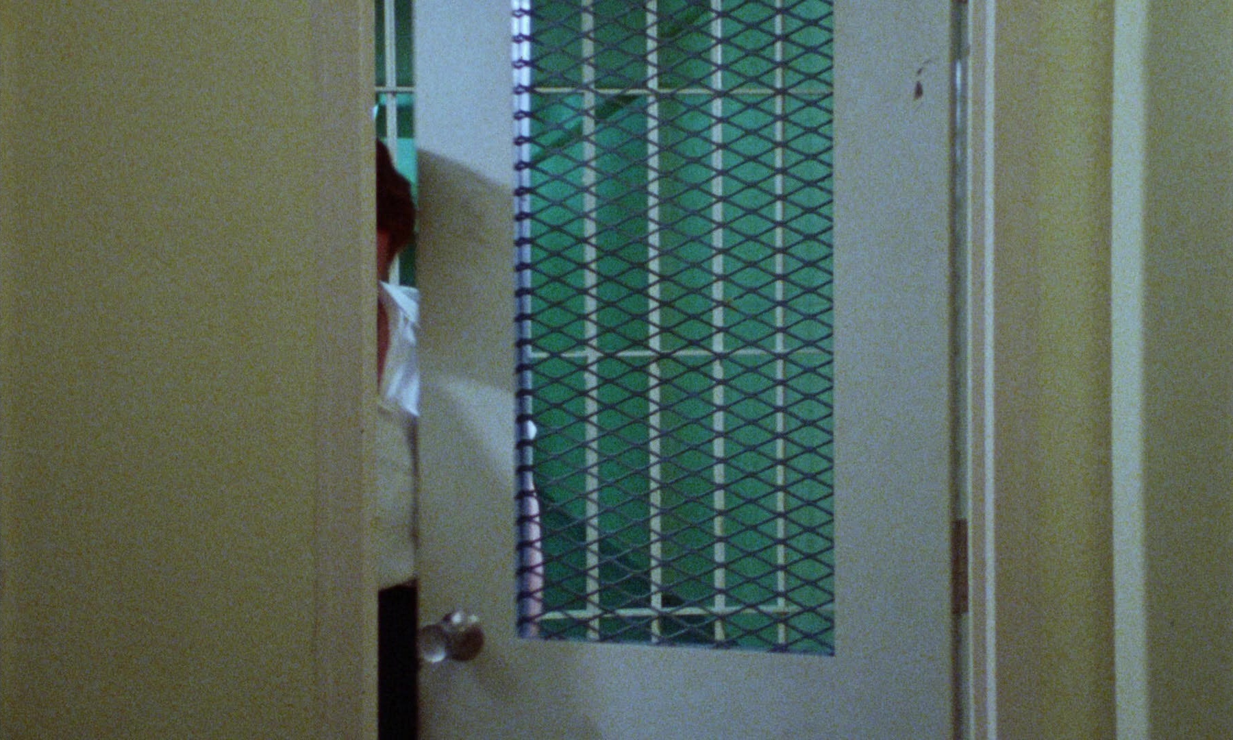 Female Trouble (1974), wide, 1.67:1 — film still