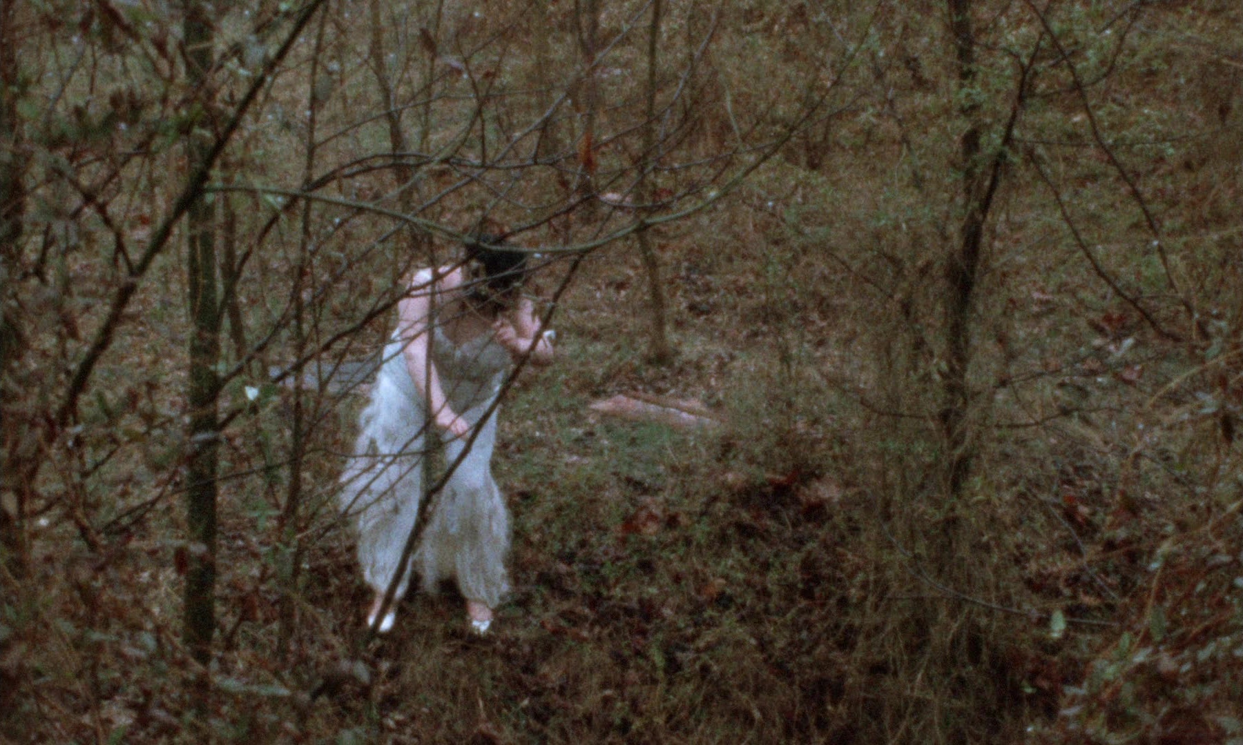 Female Trouble (1974), wide, 1.67:1 — film still