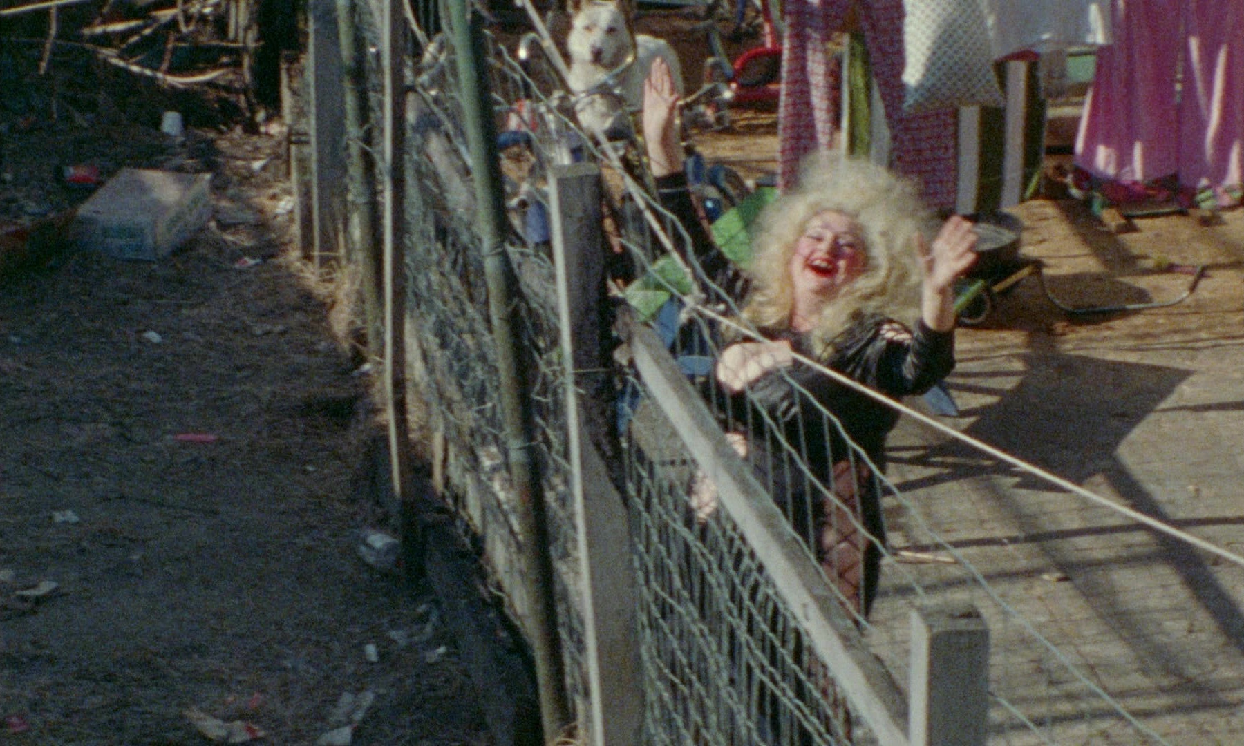 Female Trouble (1974), wide, 1.67:1 — film still