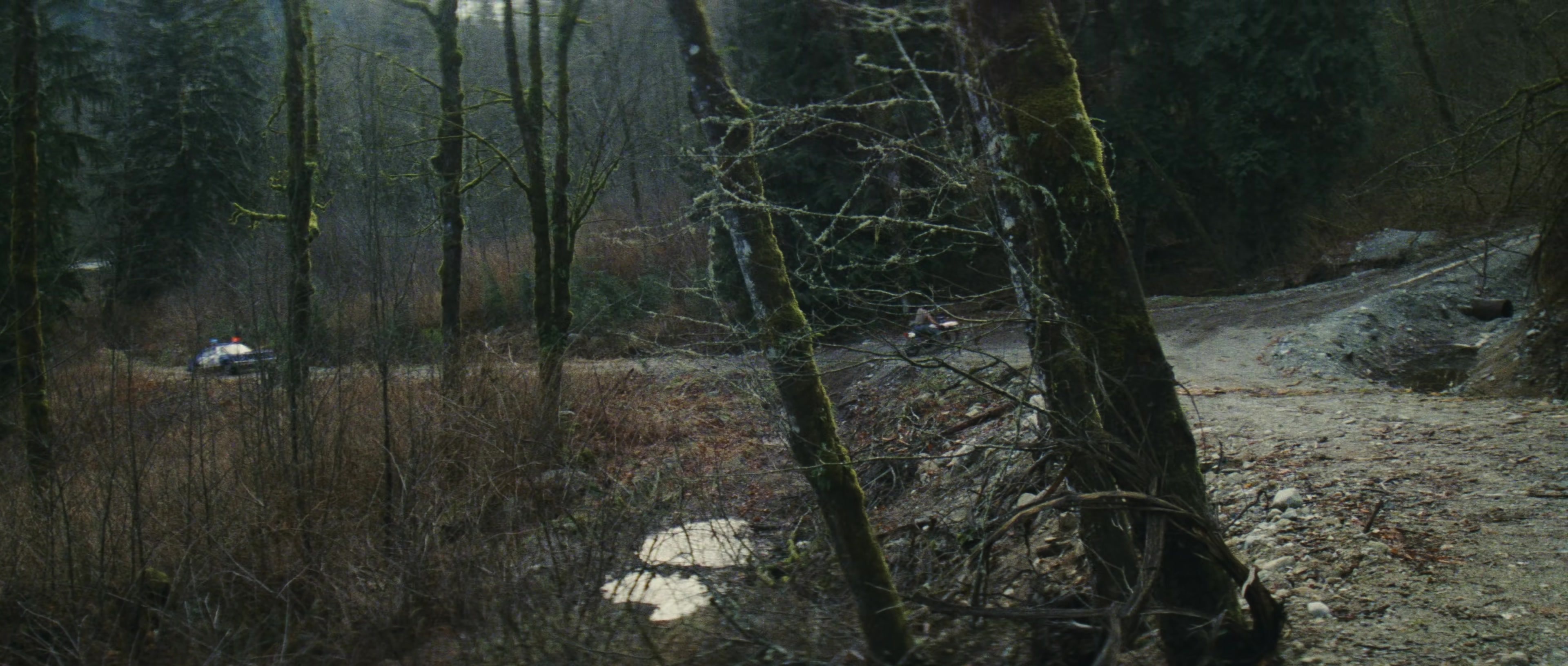 First Blood (1982), wide, 2.35:1 — film still