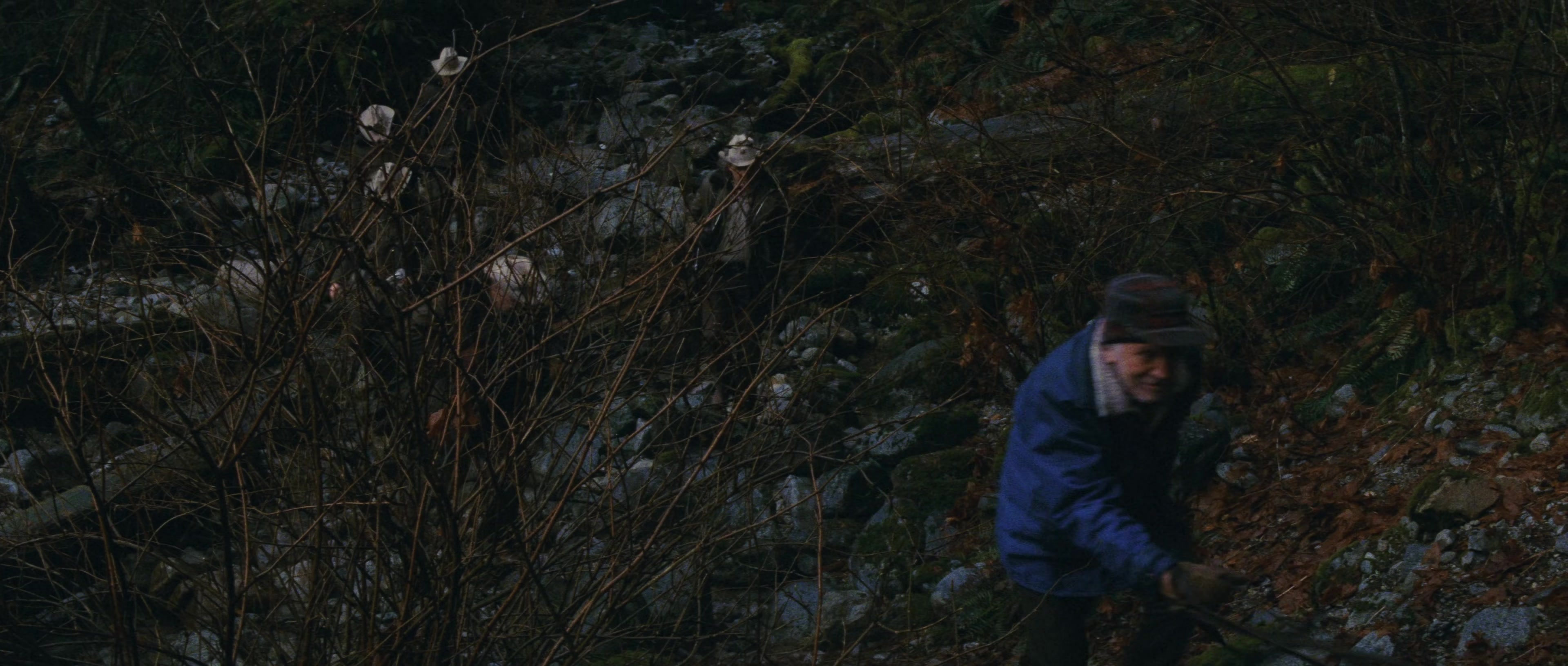 First Blood (1982), wide, 2.35:1 — film still