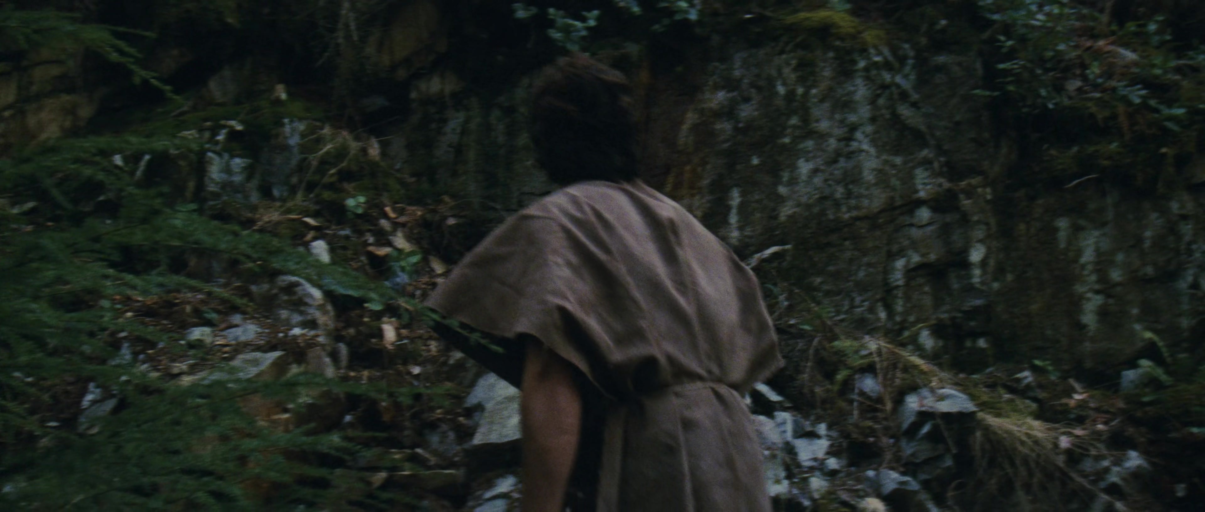 First Blood (1982), wide, 2.35:1 — film still