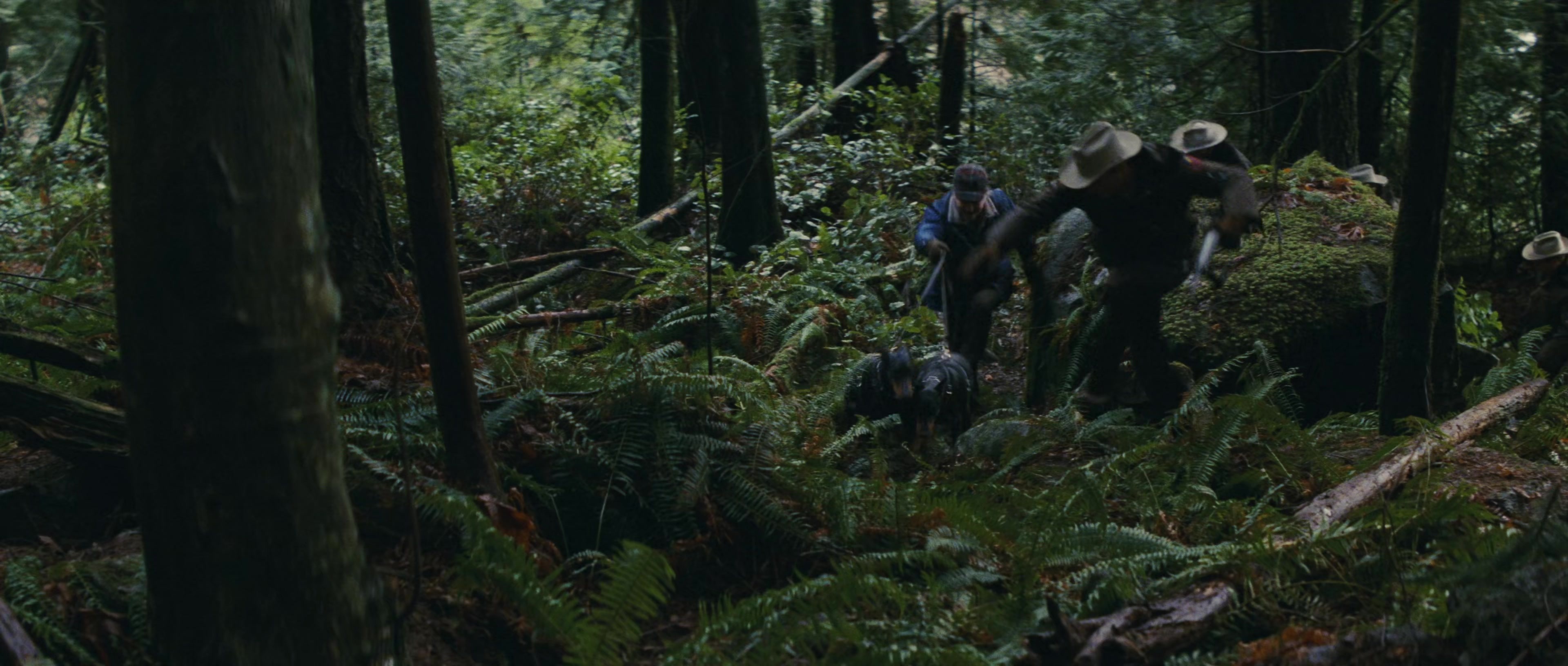 First Blood (1982), wide, 2.35:1 — film still