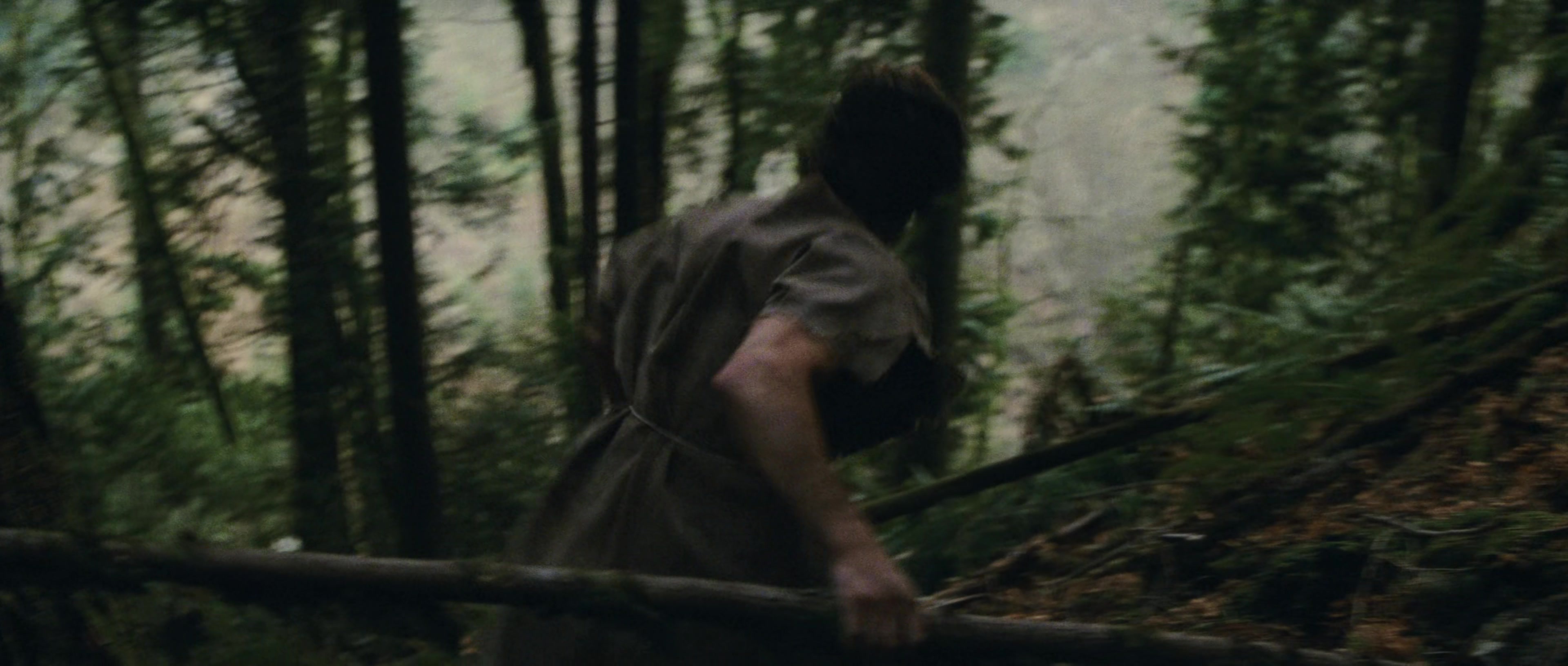 First Blood (1982), wide, 2.35:1 — film still