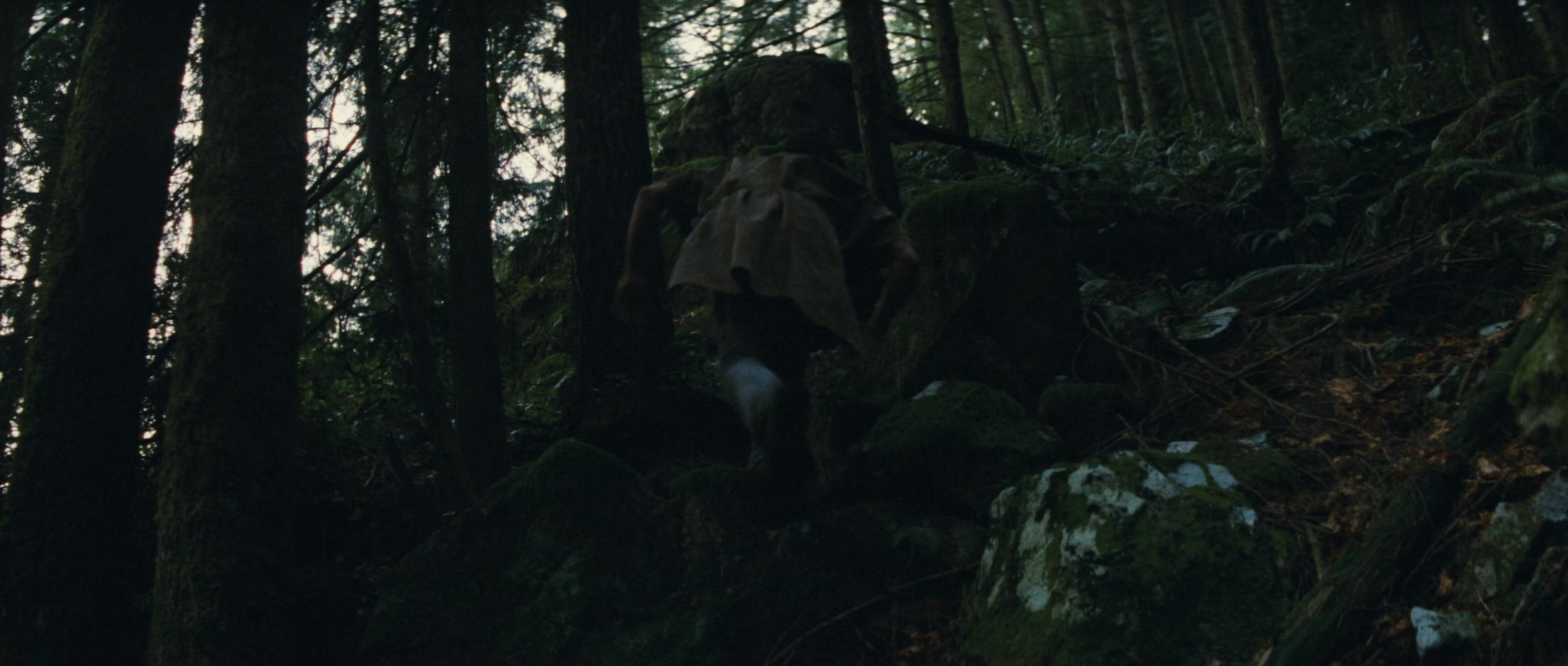 First Blood (1982), wide, 2.35:1 — film still