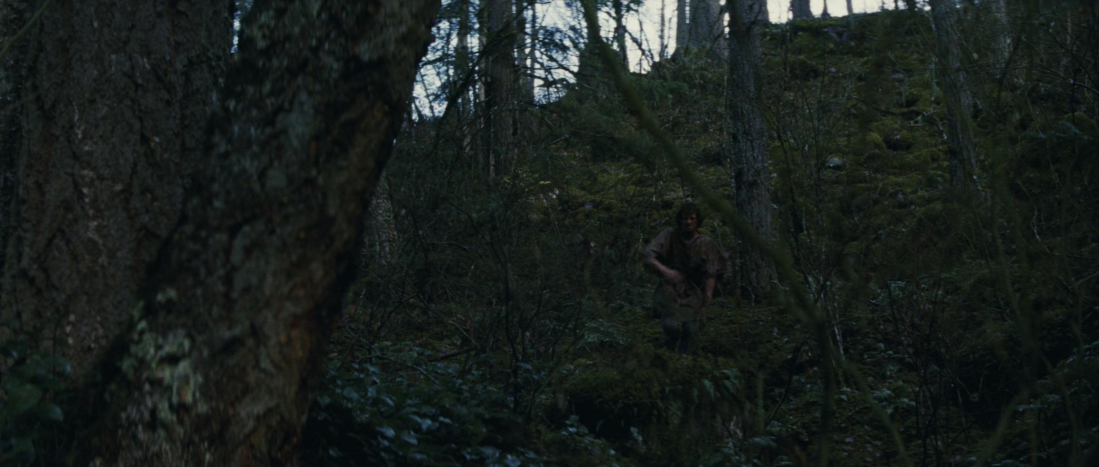 First Blood (1982), wide, 2.35:1 — film still