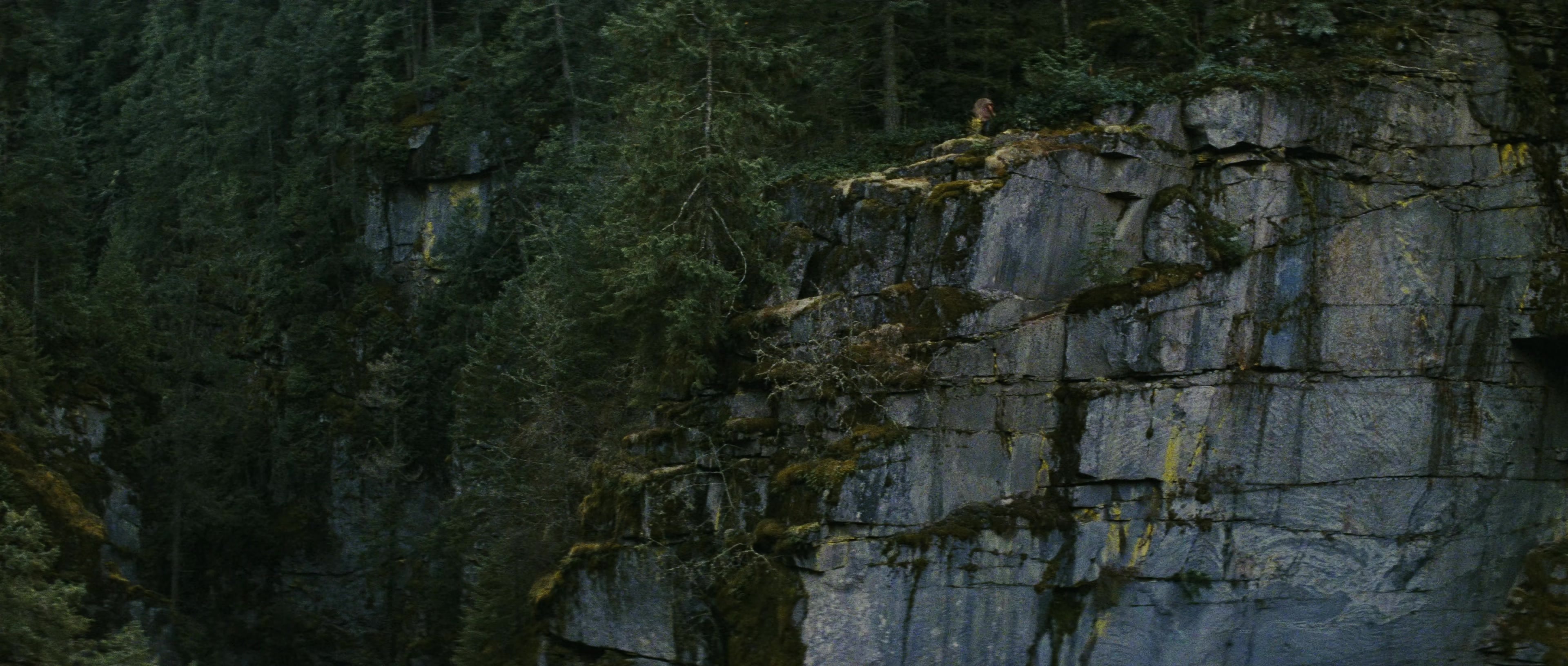First Blood (1982), wide, 2.35:1 — film still