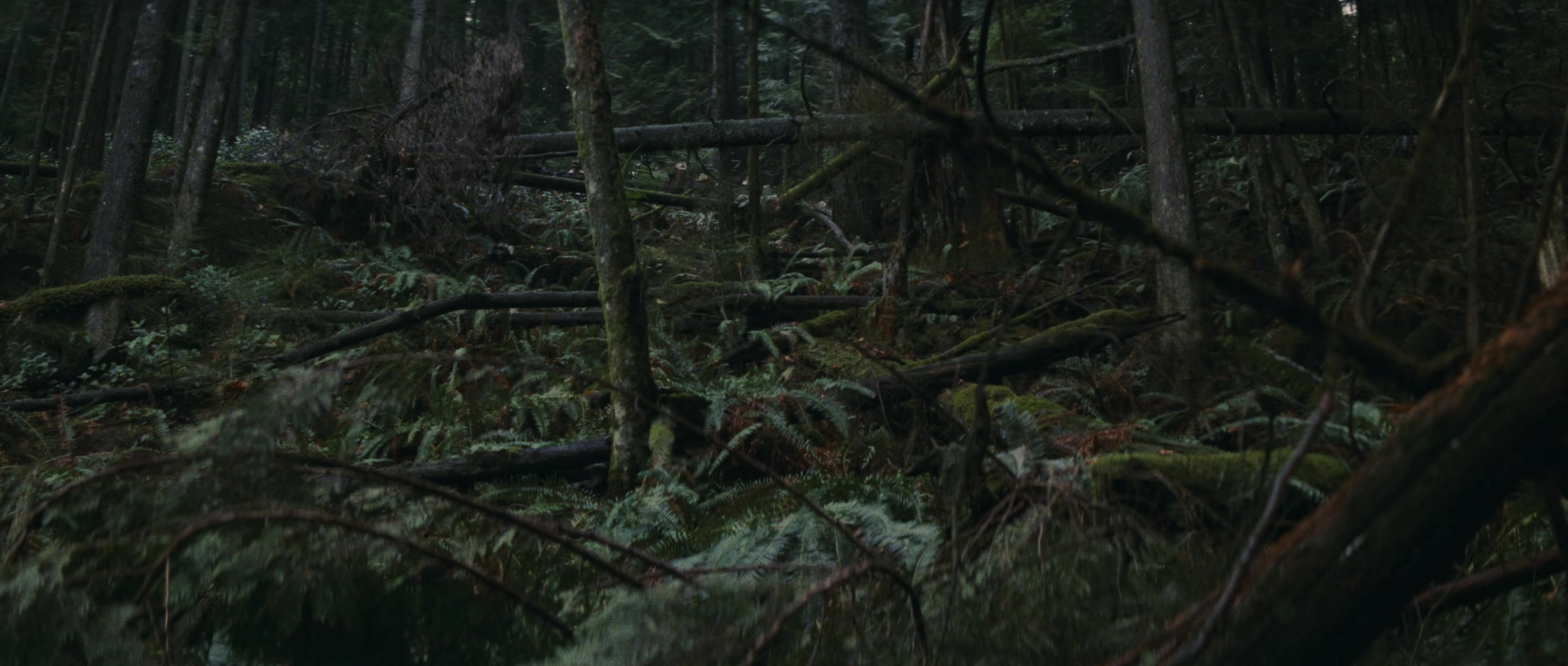First Blood (1982), wide, 2.35:1 — film still