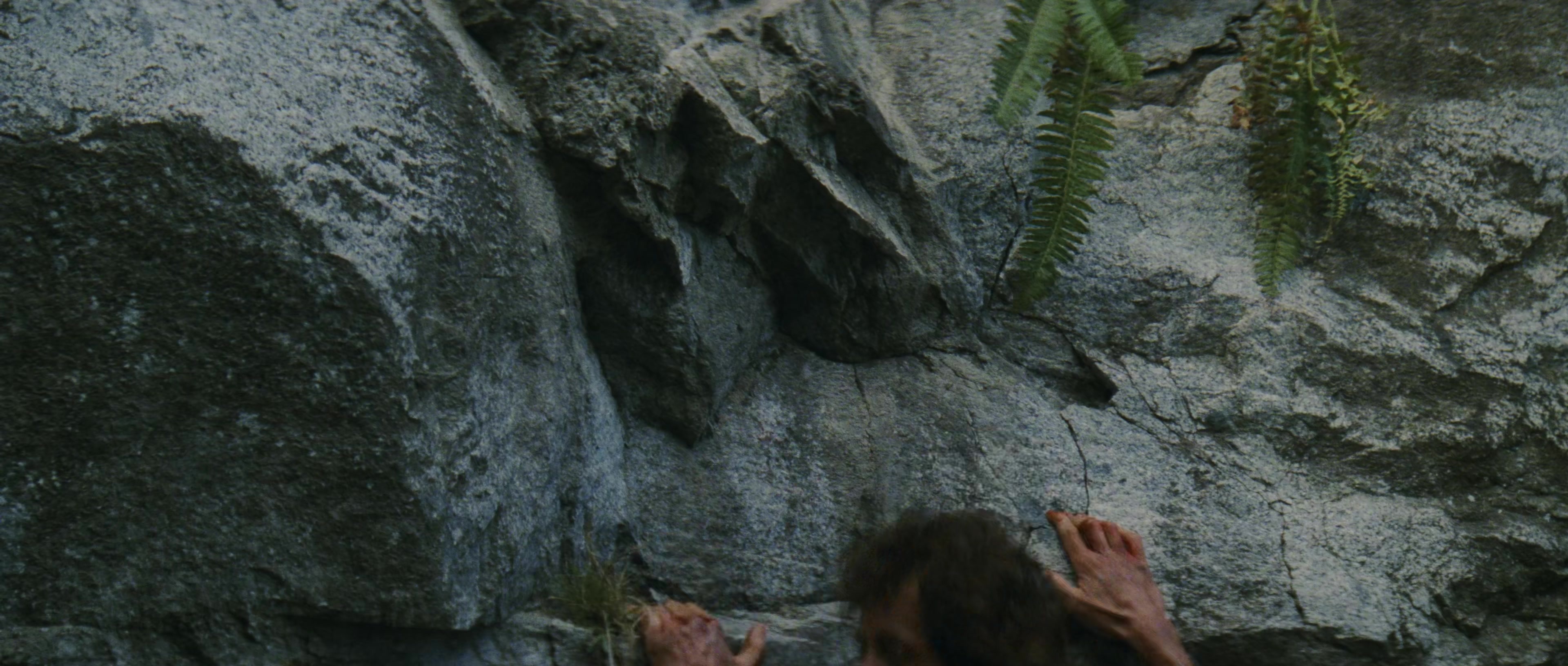 First Blood (1982), wide, 2.35:1 — film still