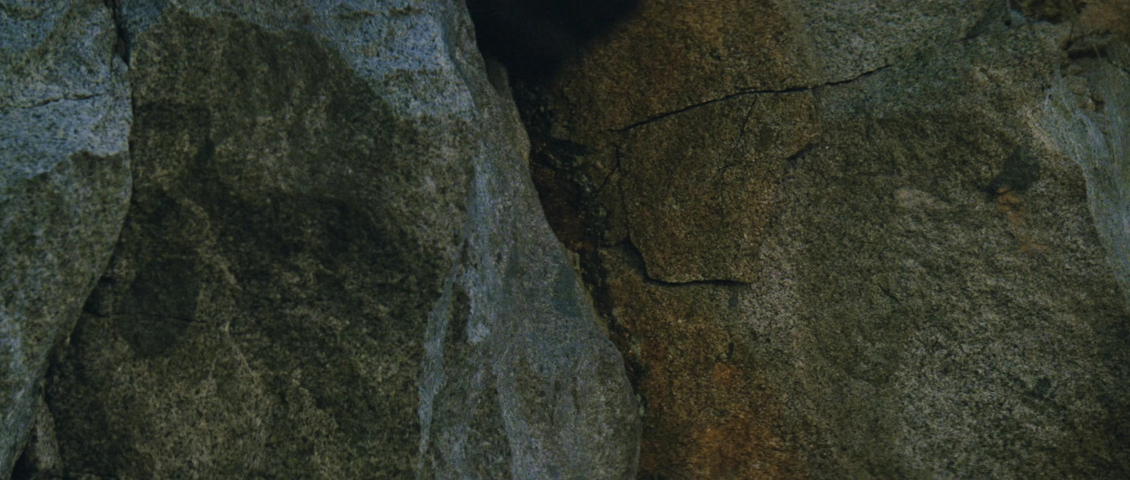 First Blood (1982), wide, 2.35:1 — film still