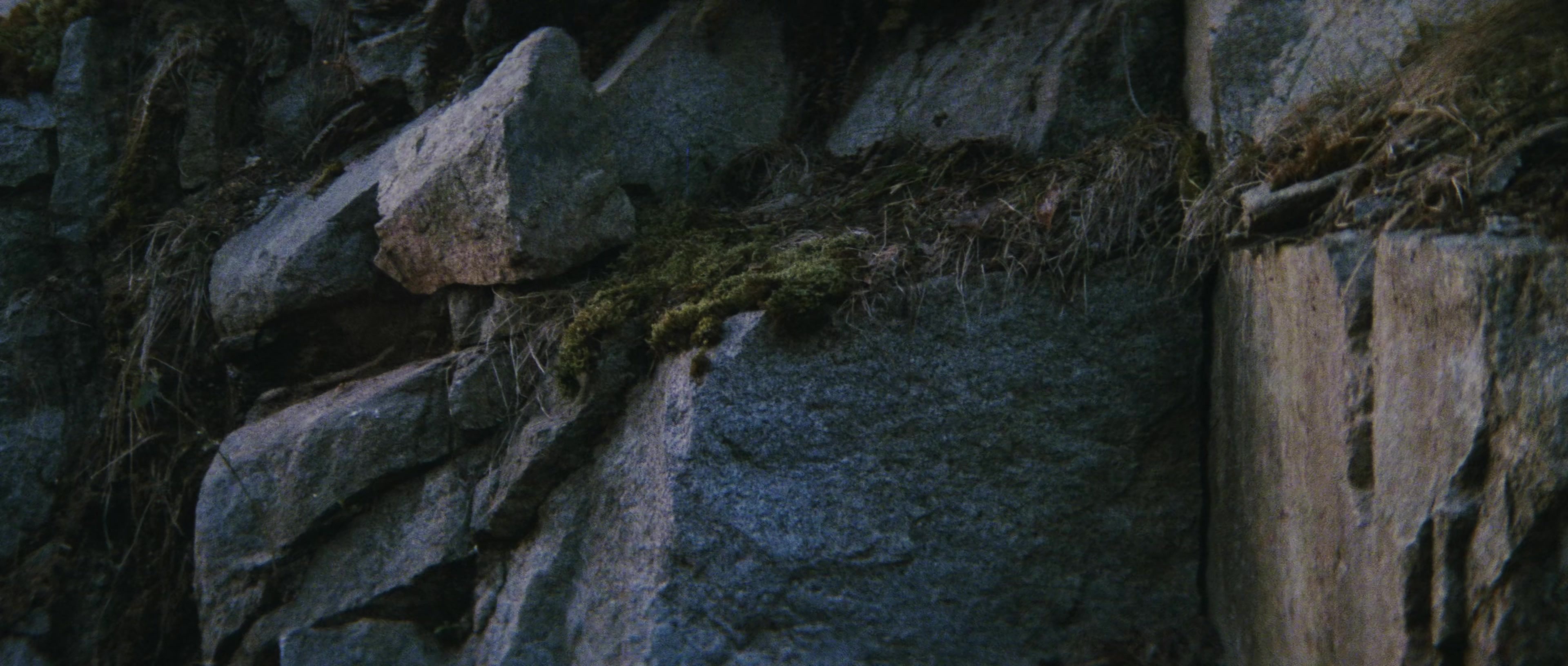 First Blood (1982), wide, 2.35:1 — film still