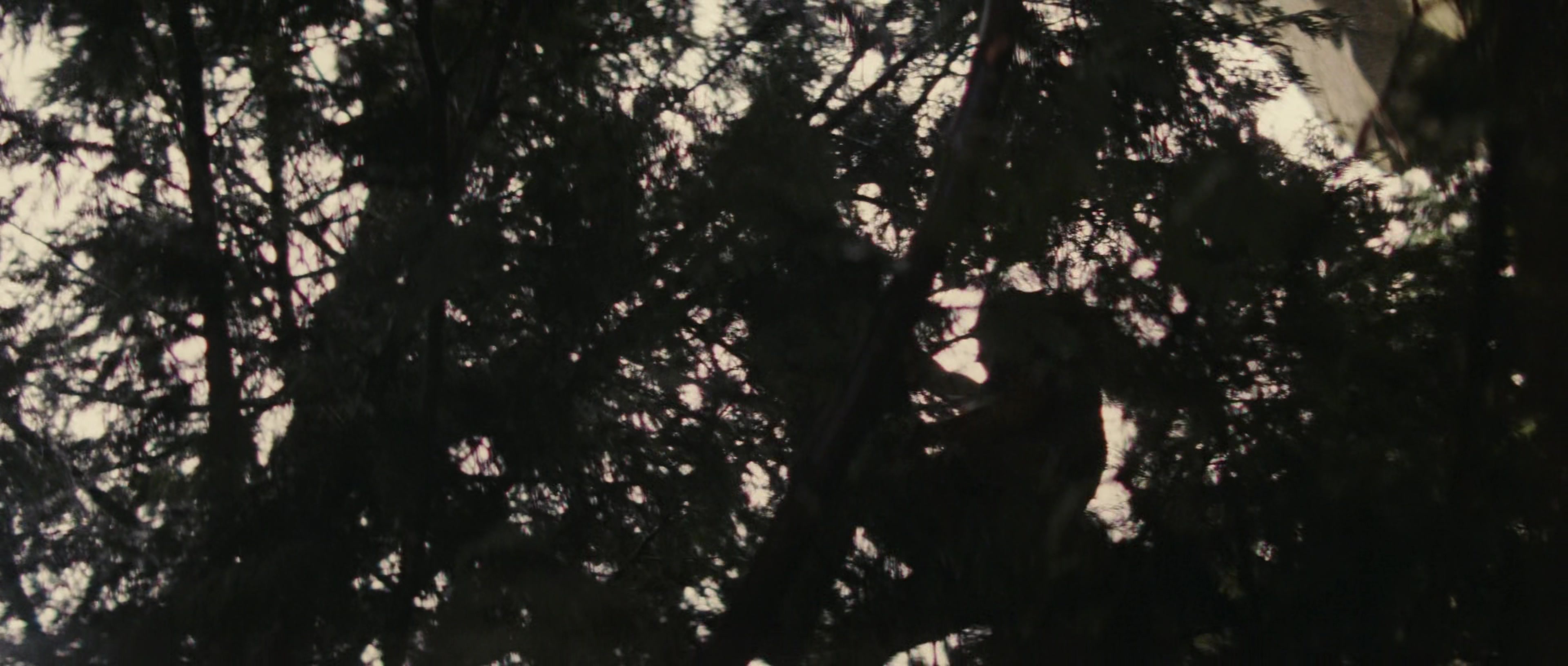 First Blood (1982), wide, 2.35:1 — film still