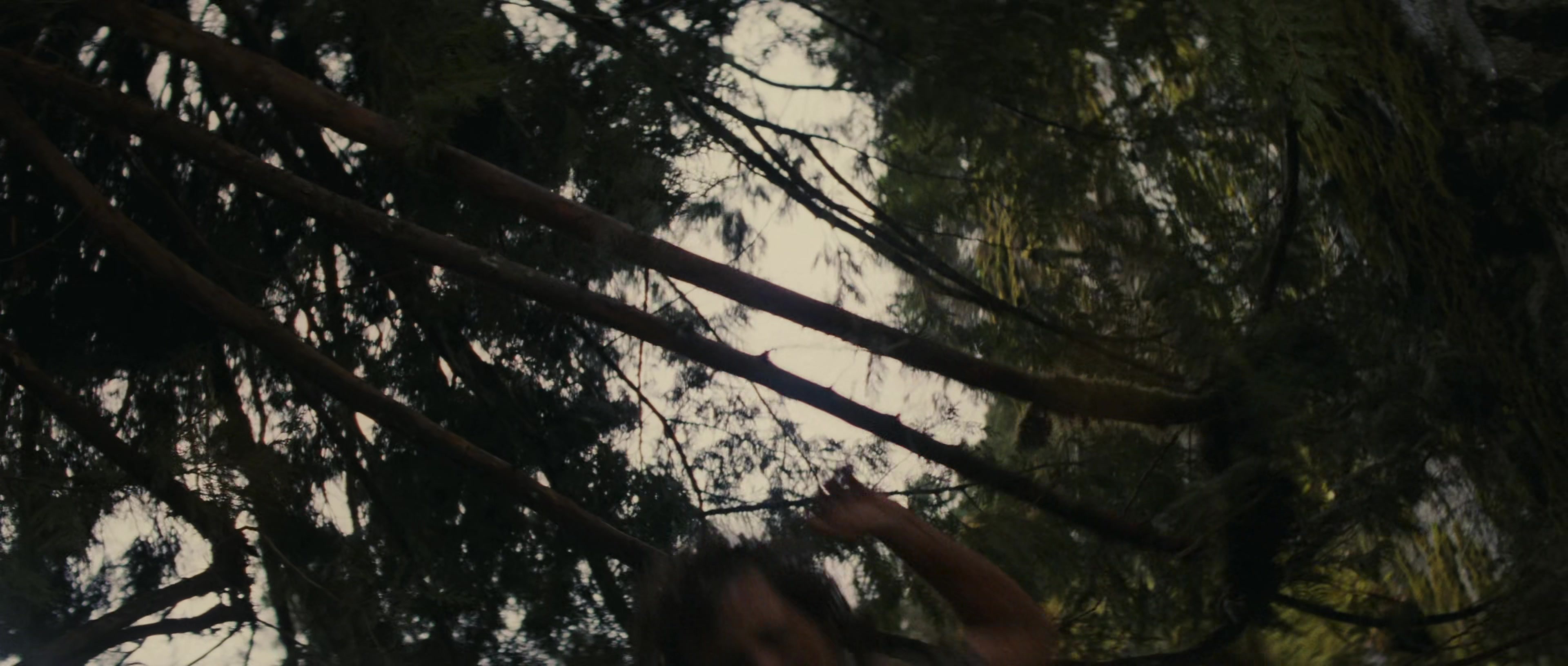 First Blood (1982), wide, 2.35:1 — film still