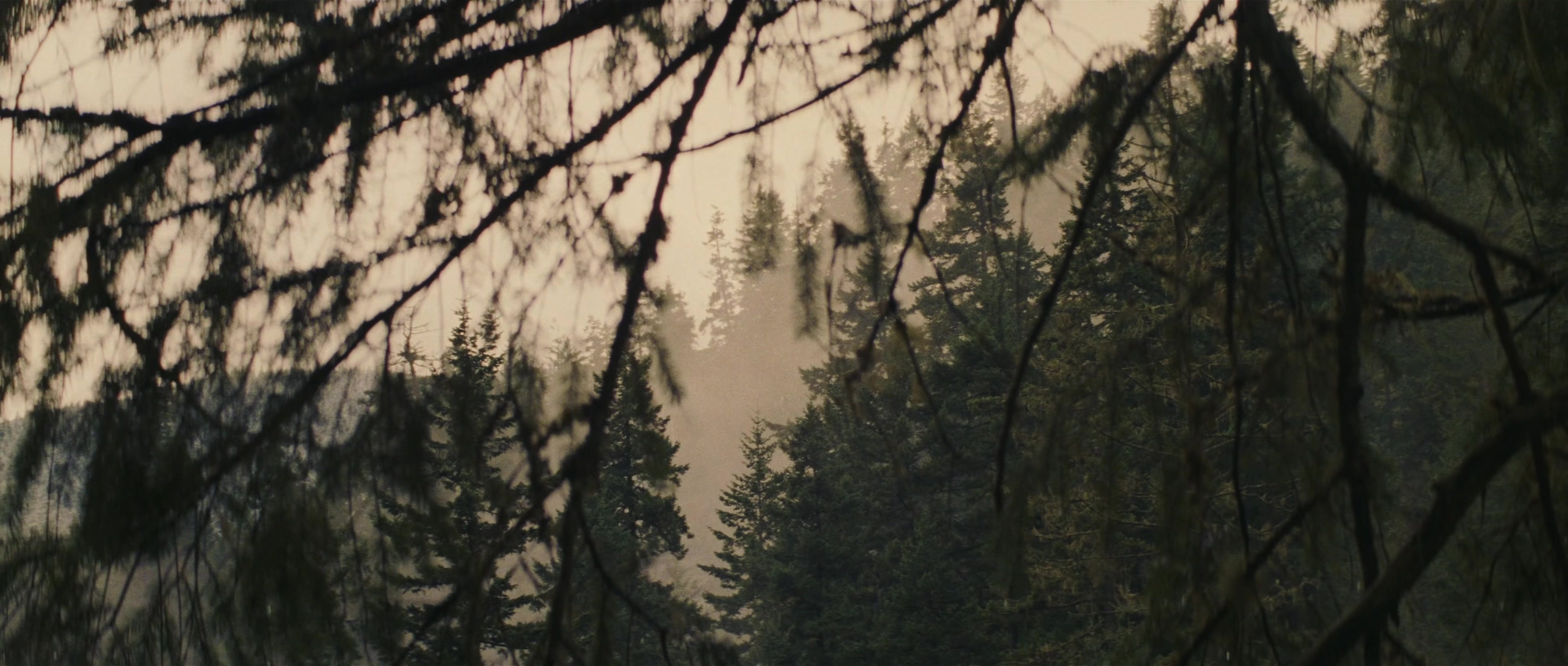 First Blood (1982), wide, 2.35:1 — film still