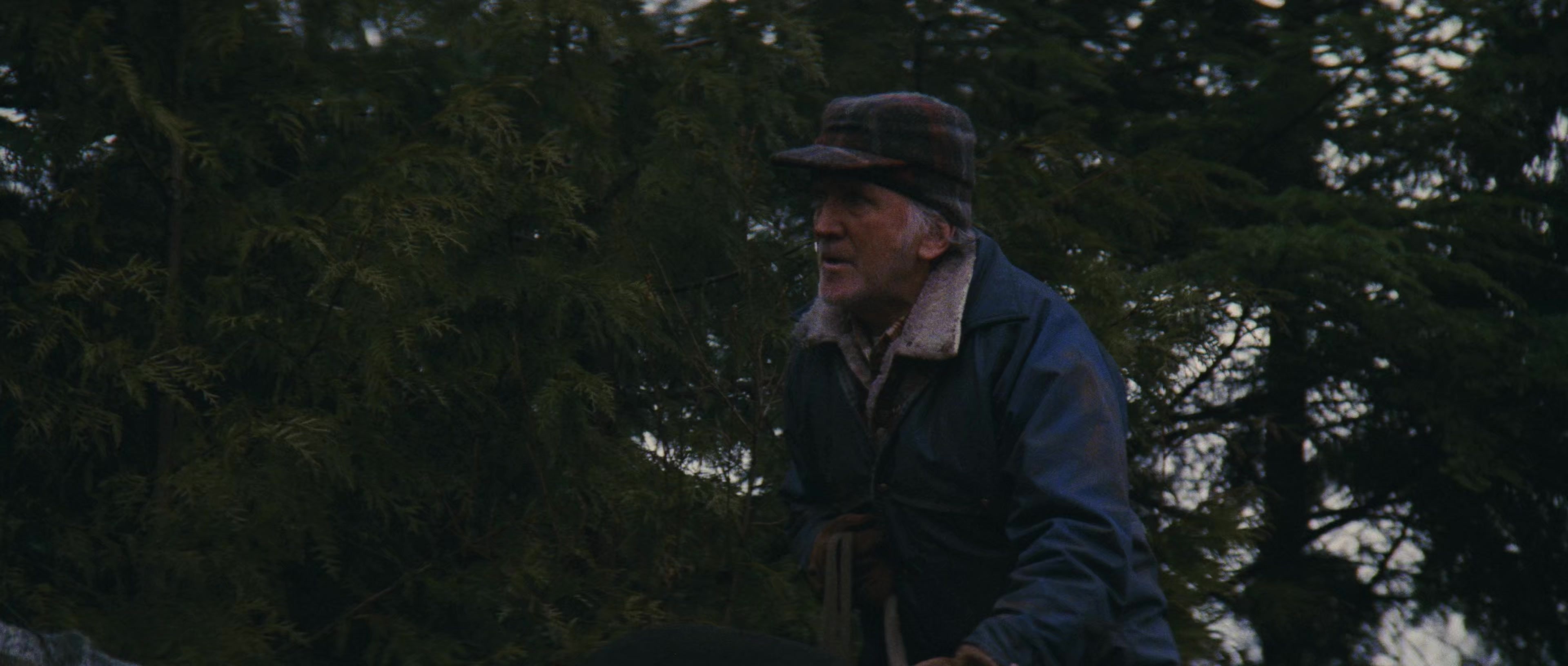 First Blood (1982), wide, 2.35:1 — film still
