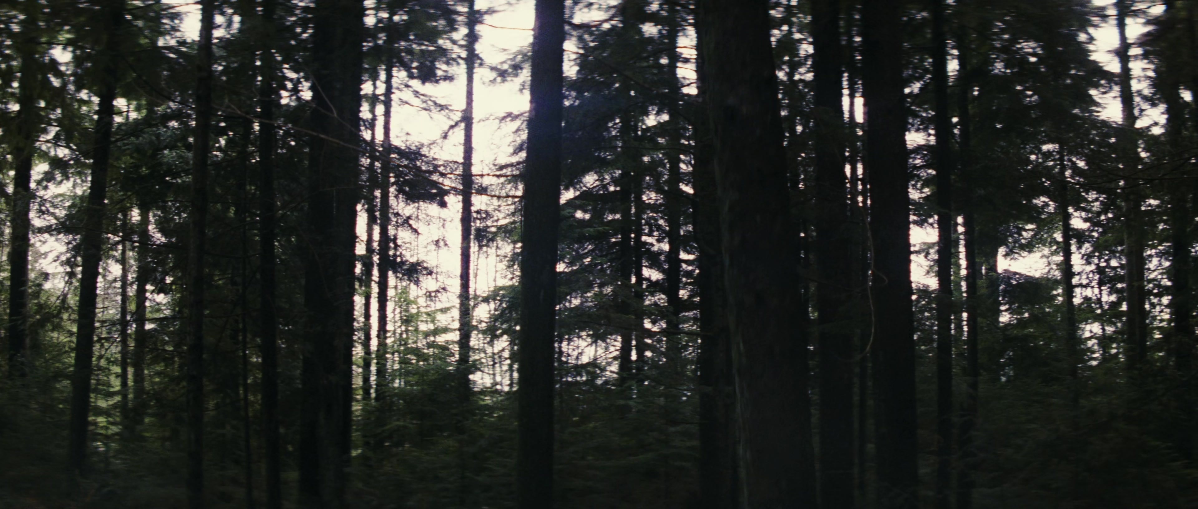 First Blood (1982), wide, 2.35:1 — film still