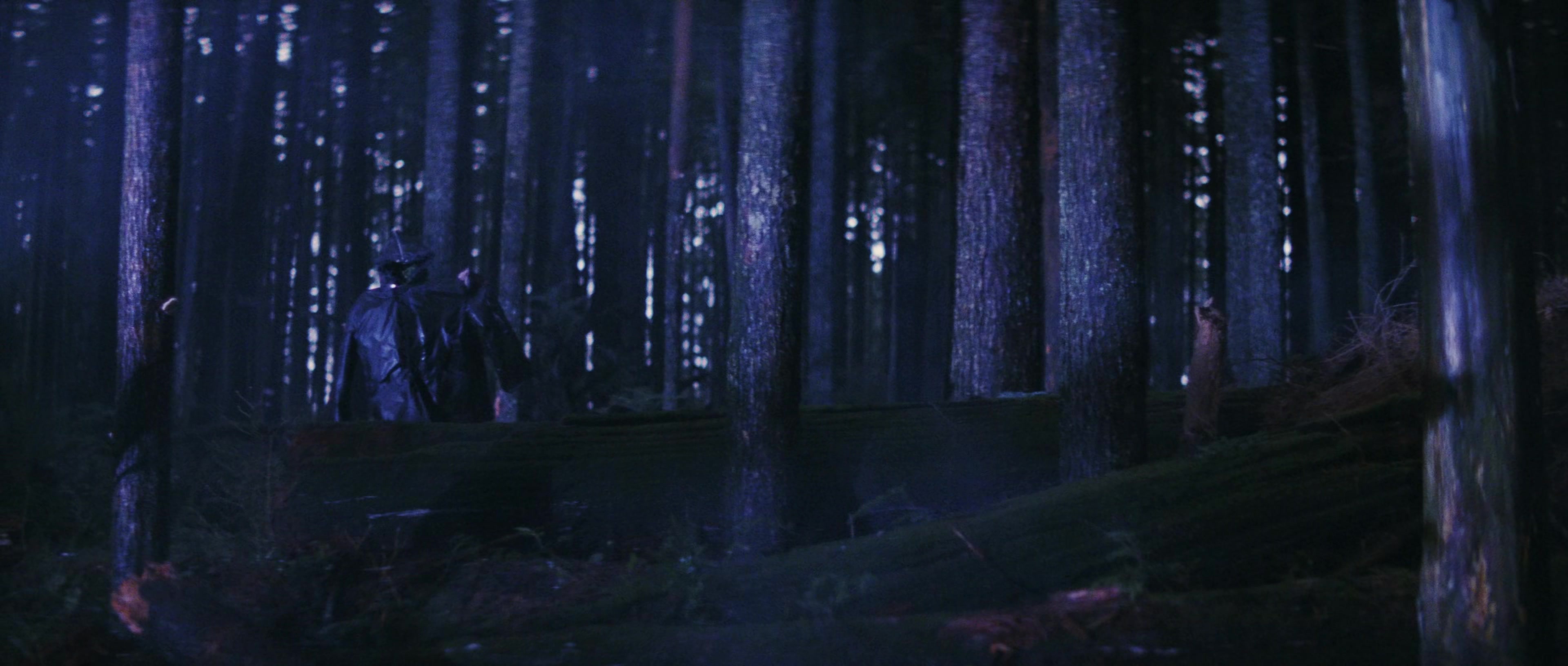 First Blood (1982), wide, 2.35:1 — film still