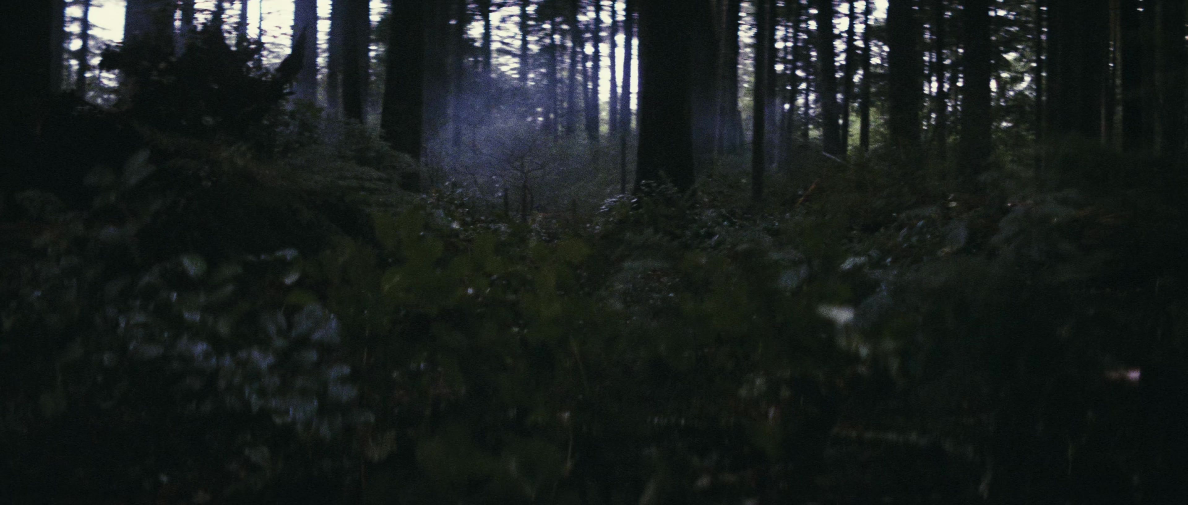 First Blood (1982), wide, 2.35:1 — film still