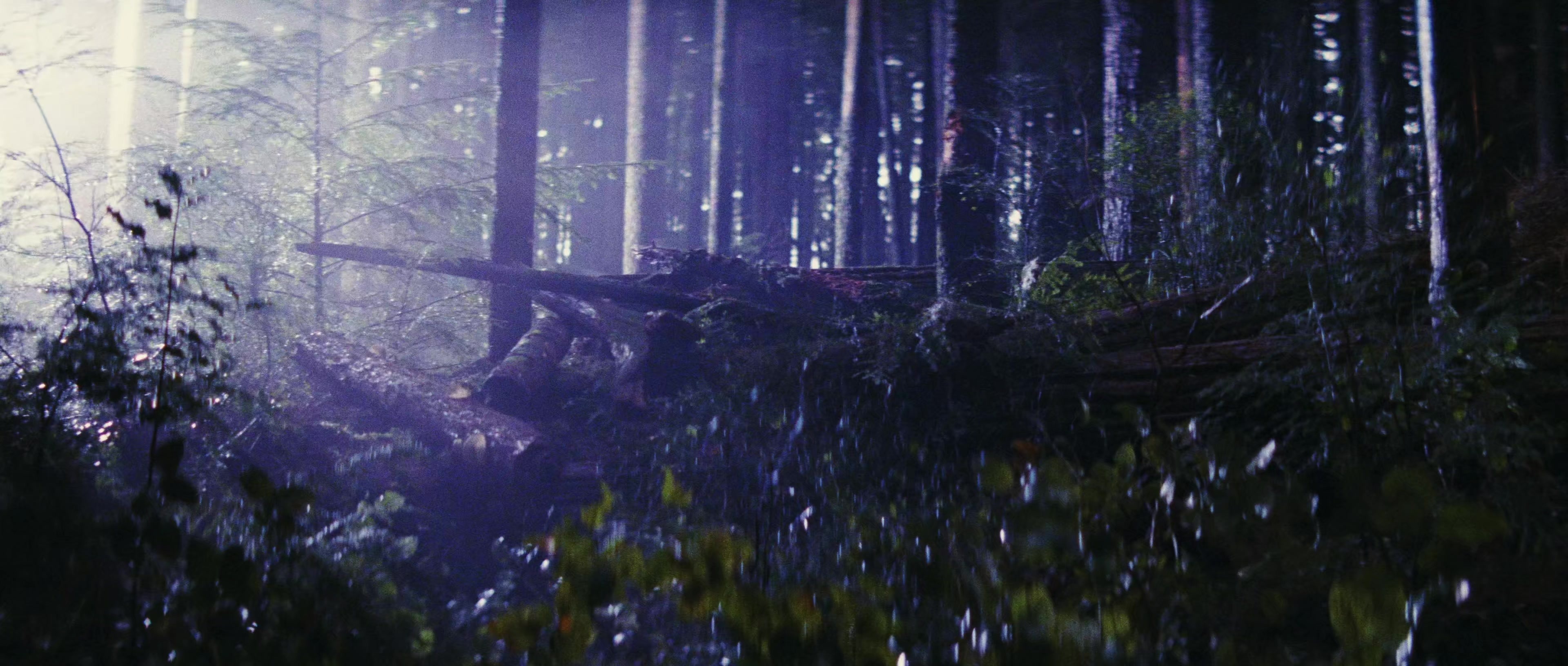First Blood (1982), wide, 2.35:1 — film still