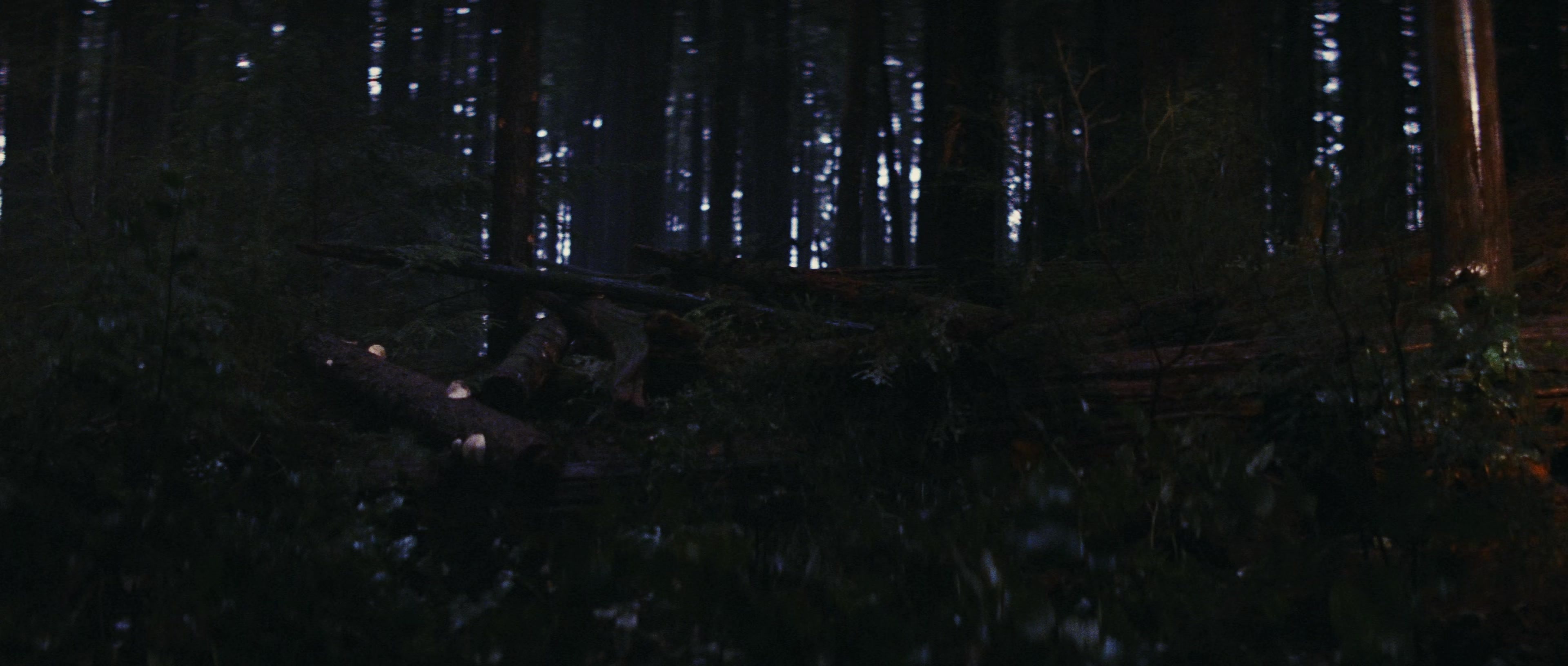 First Blood (1982), wide, 2.35:1 — film still