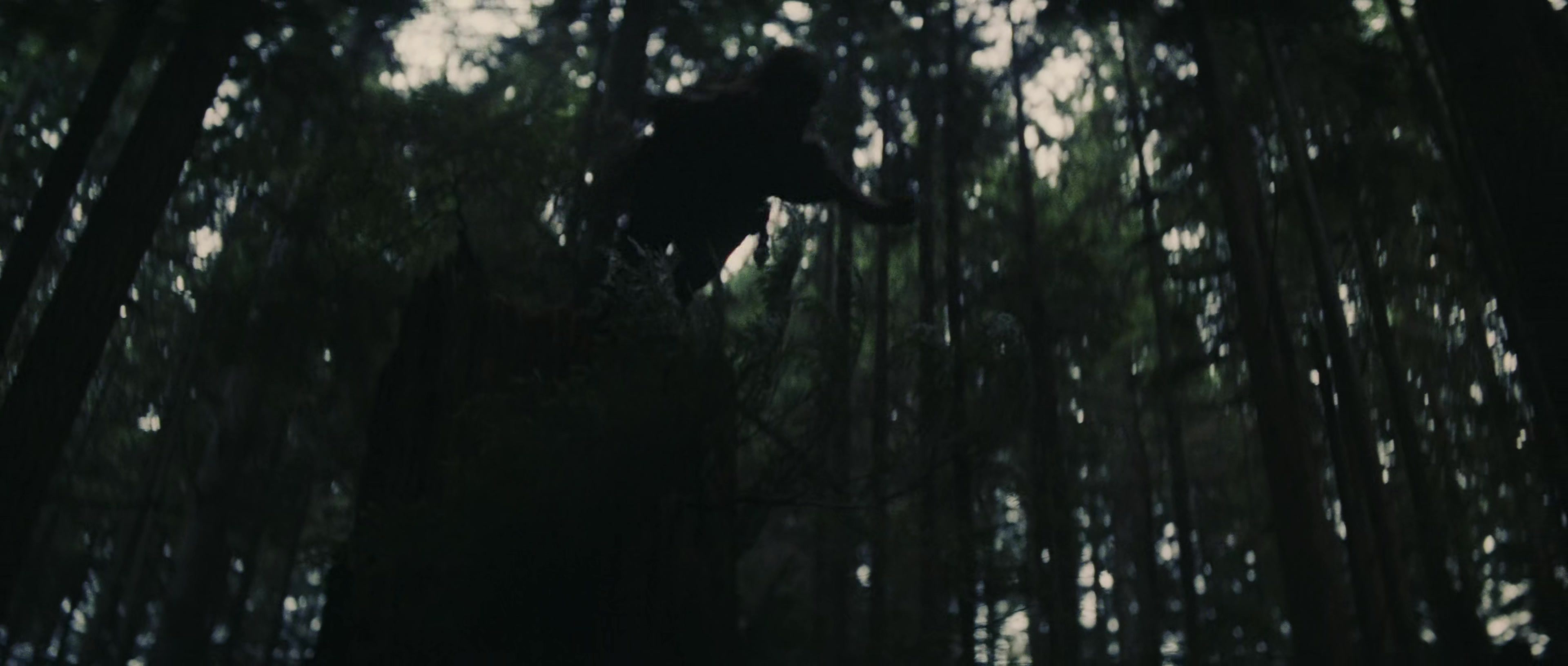 First Blood (1982), wide, 2.35:1 — film still