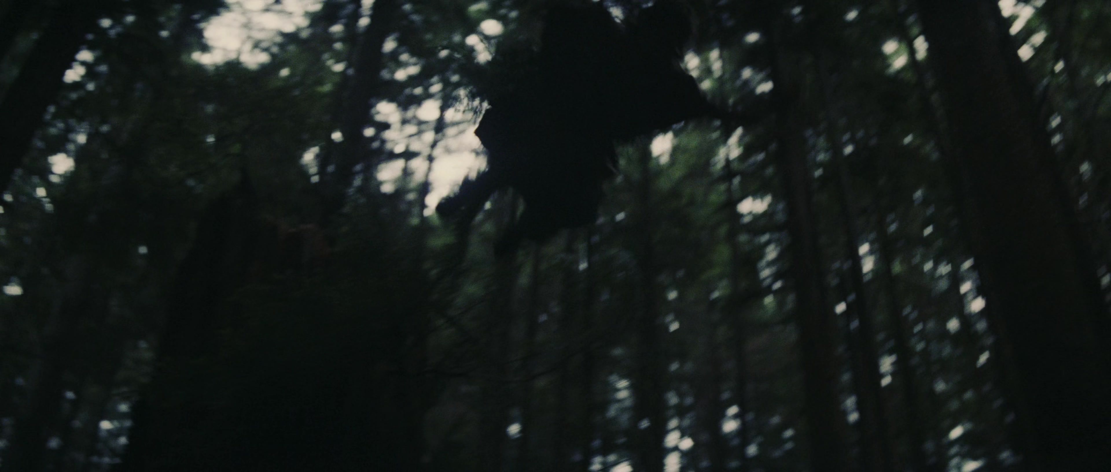 First Blood (1982), wide, 2.35:1 — film still