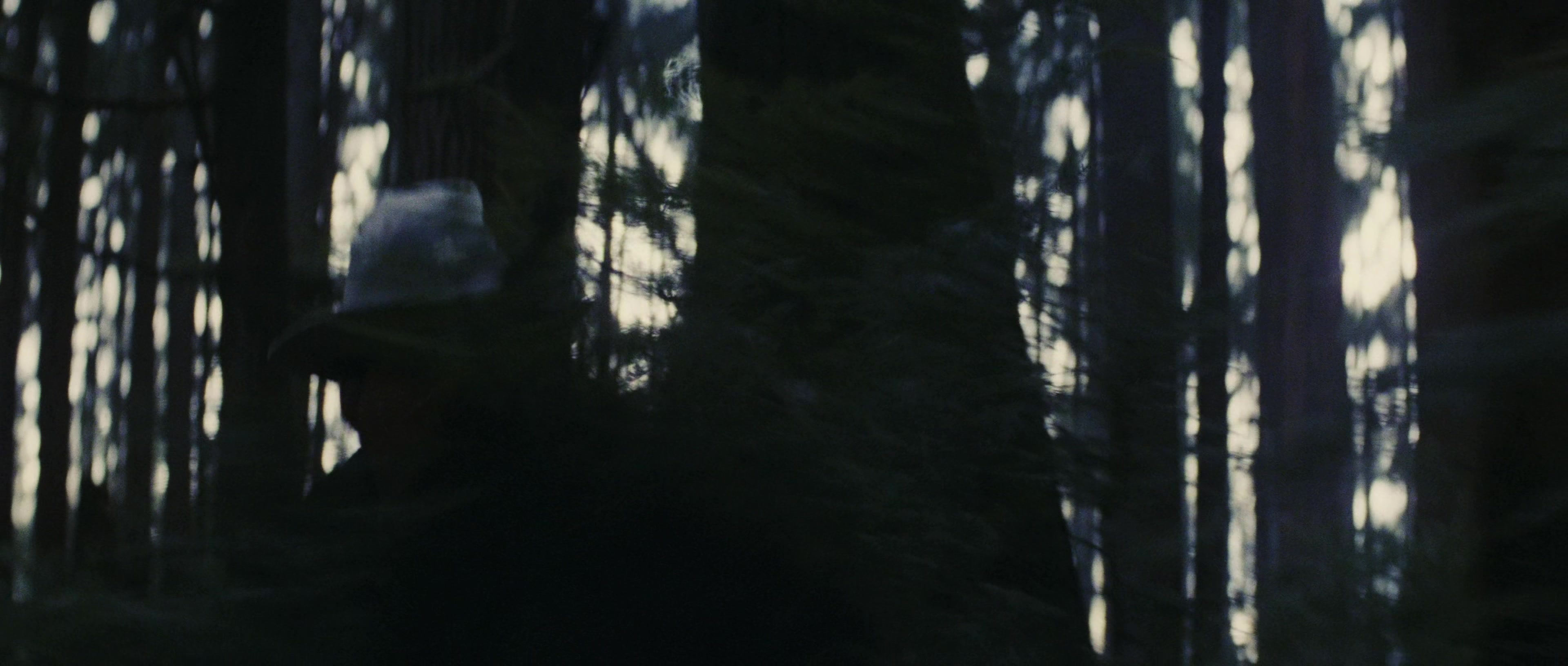 First Blood (1982), wide, 2.35:1 — film still