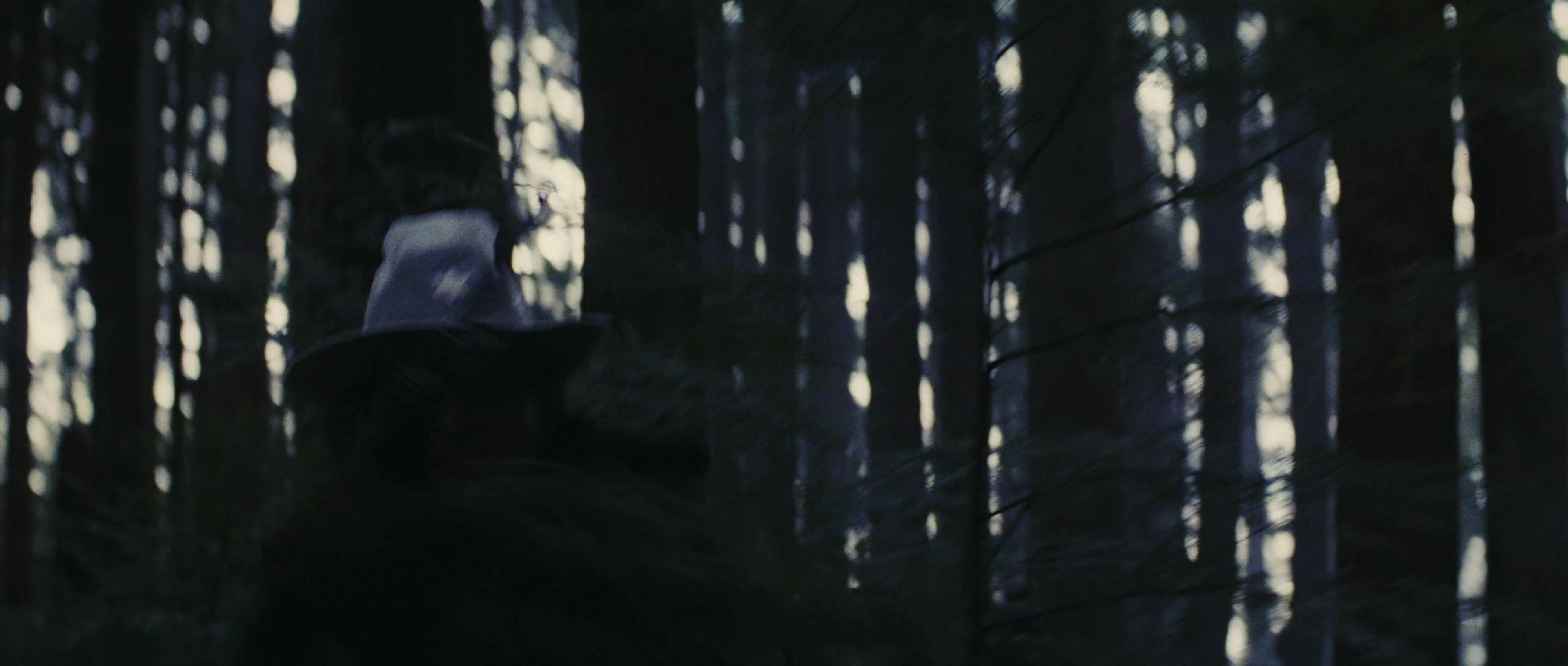 First Blood (1982), wide, 2.35:1 — film still