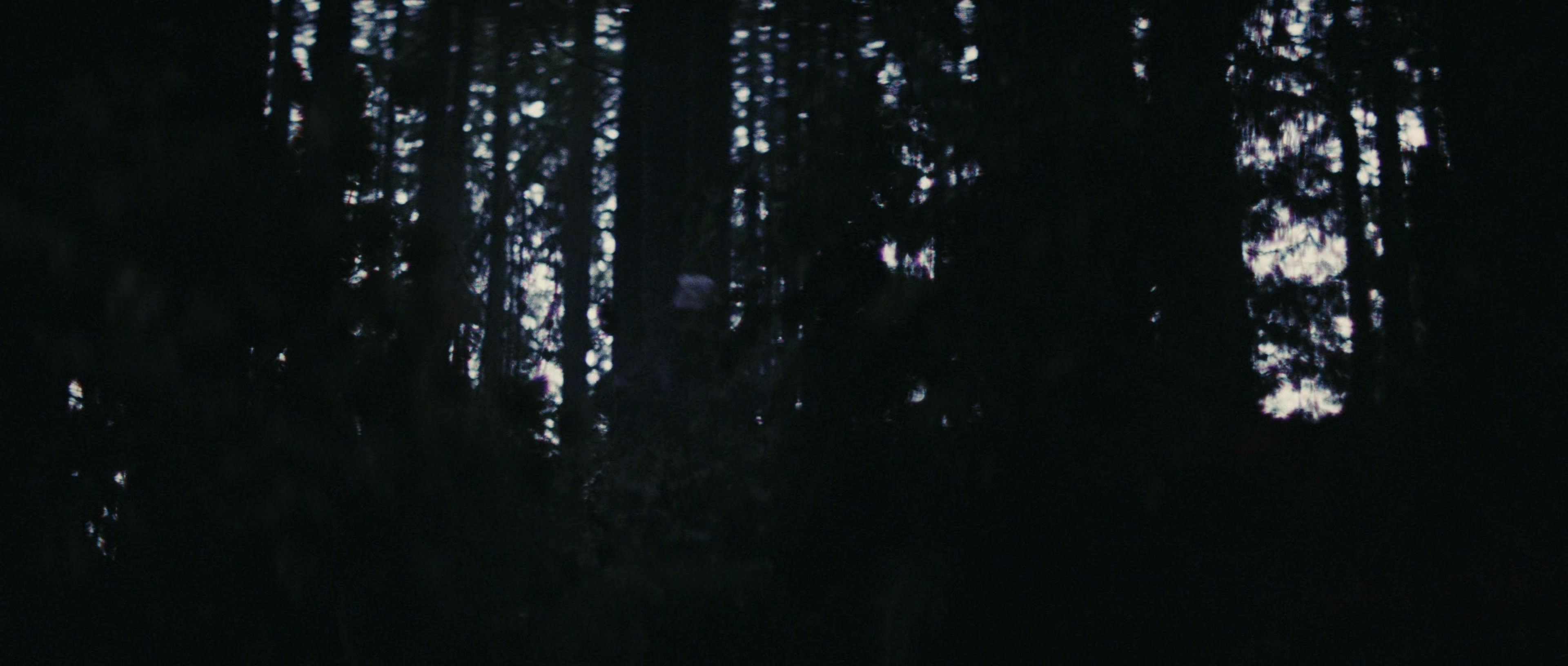 First Blood (1982), wide, 2.35:1 — film still