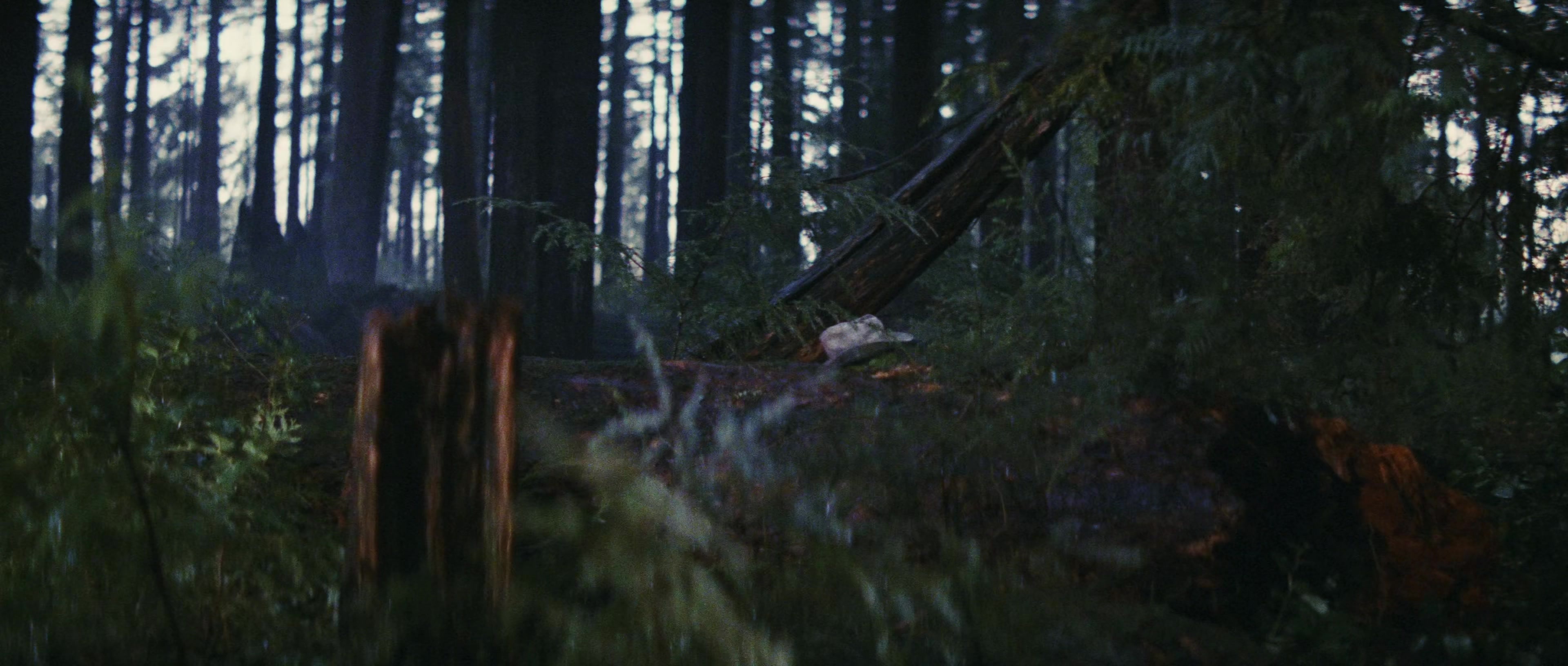 First Blood (1982), wide, 2.35:1 — film still