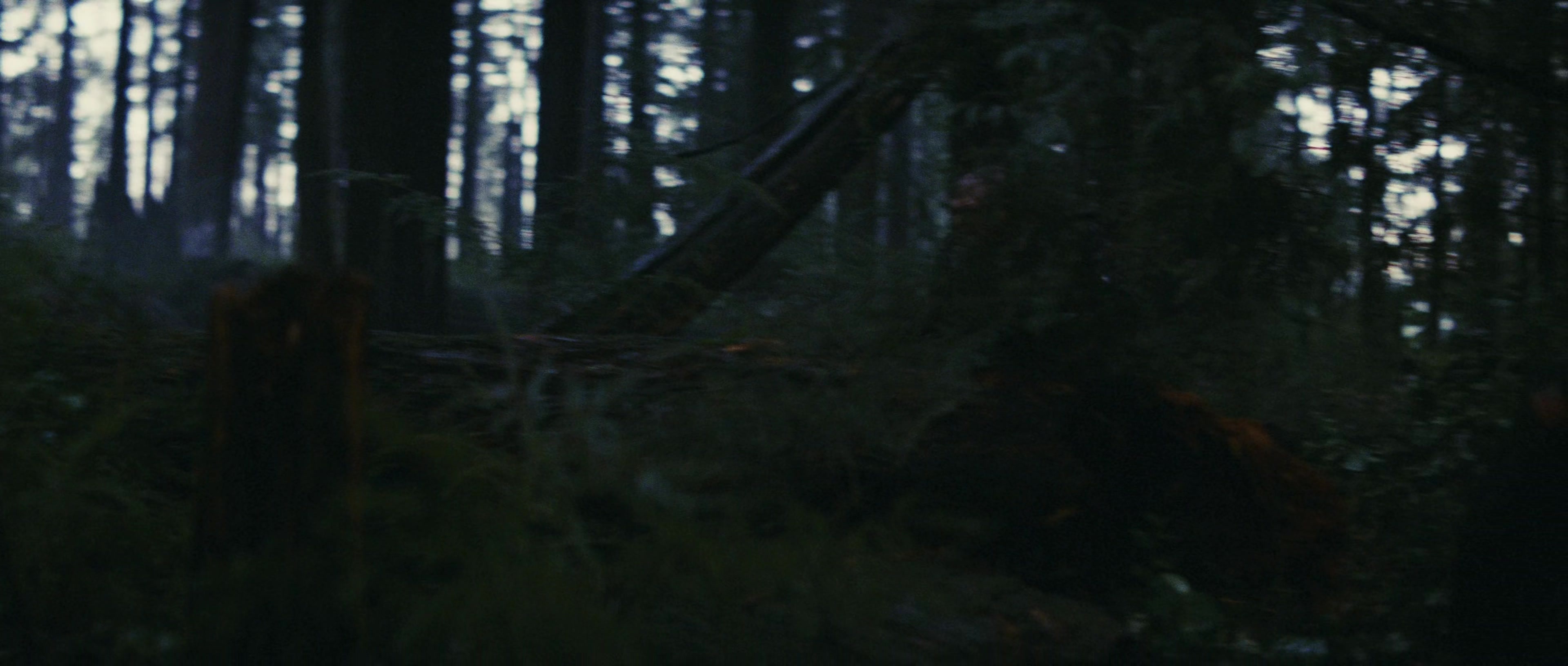 First Blood (1982), wide, 2.35:1 — film still