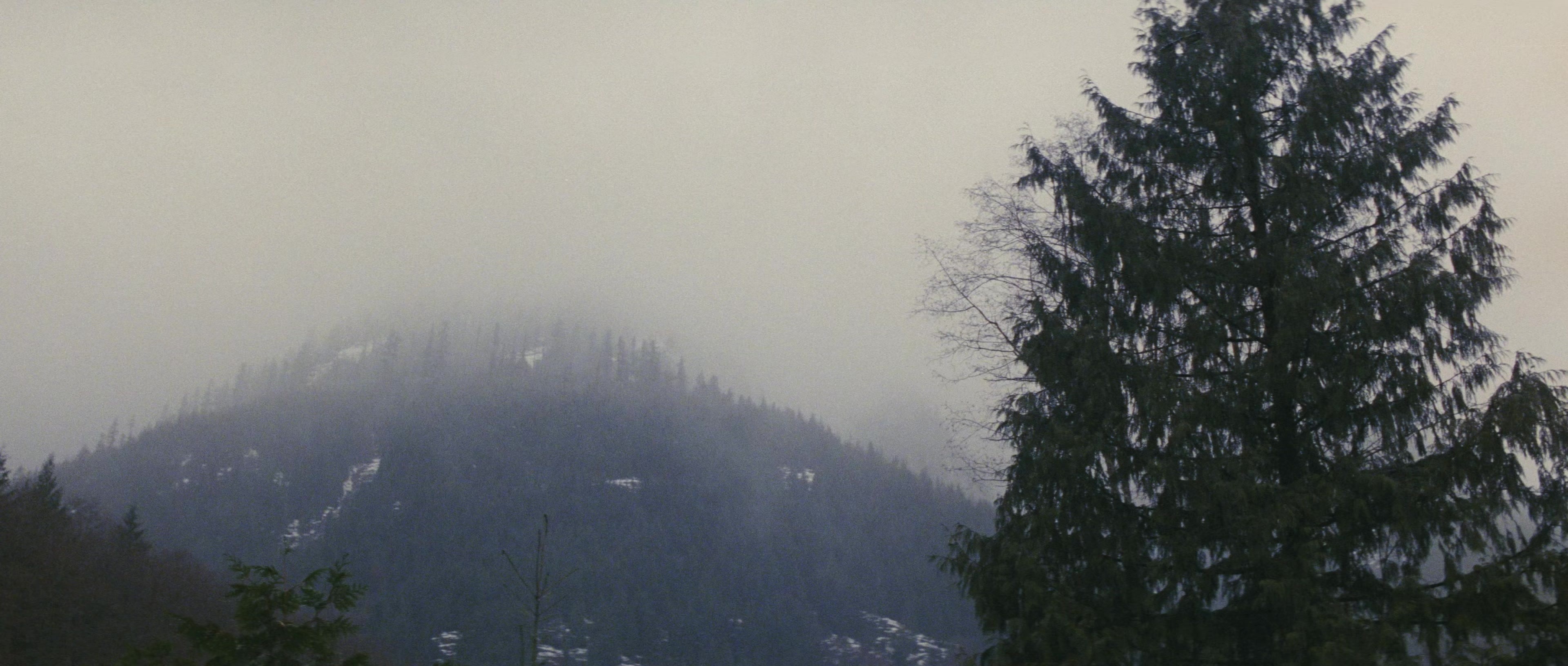 First Blood (1982), wide, 2.35:1 — film still