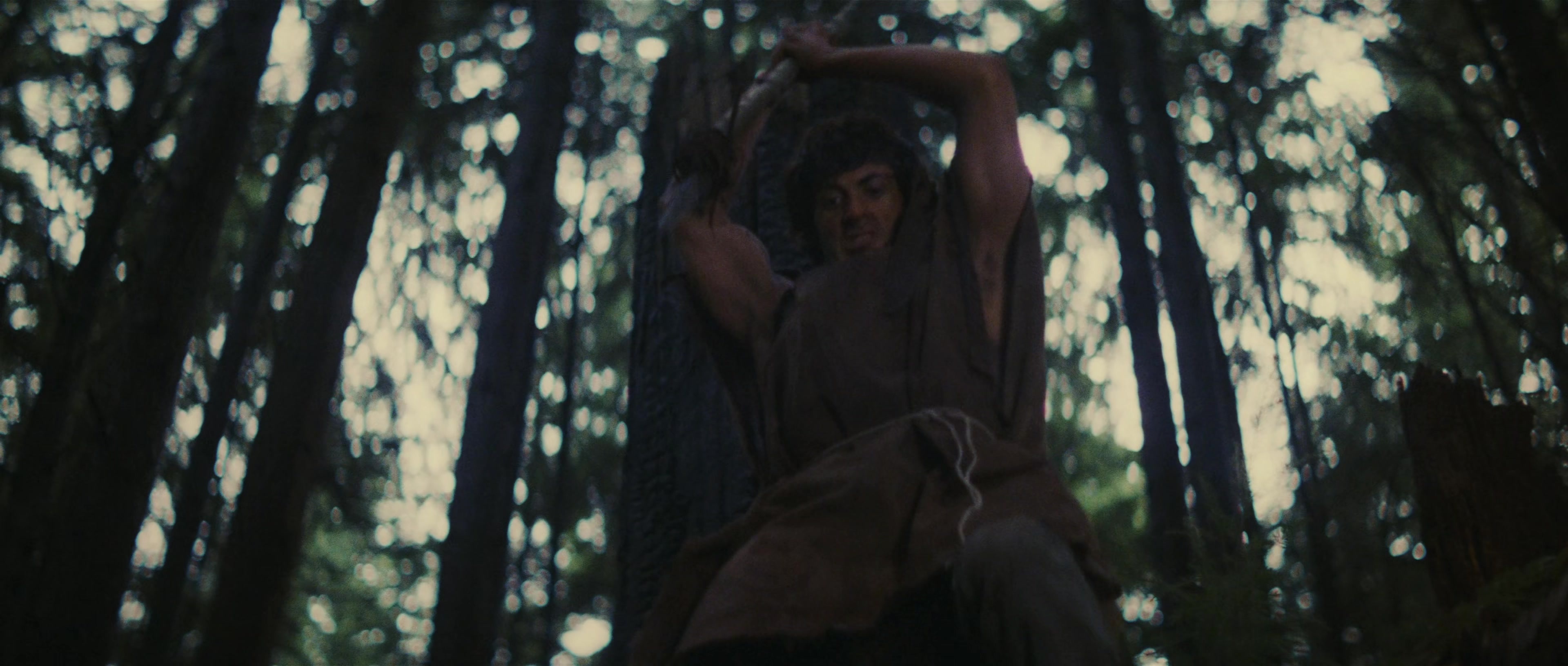 First Blood (1982), wide, 2.35:1 — film still