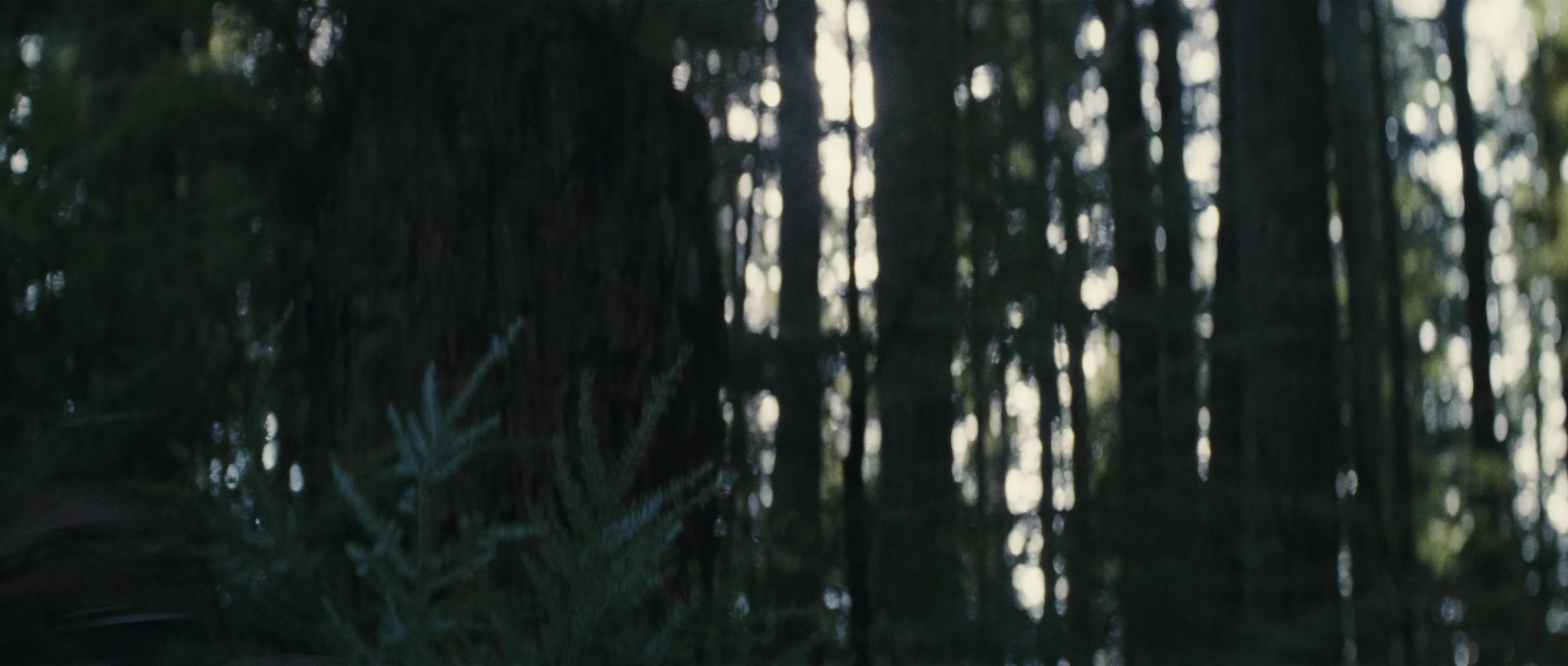 First Blood (1982), wide, 2.35:1 — film still