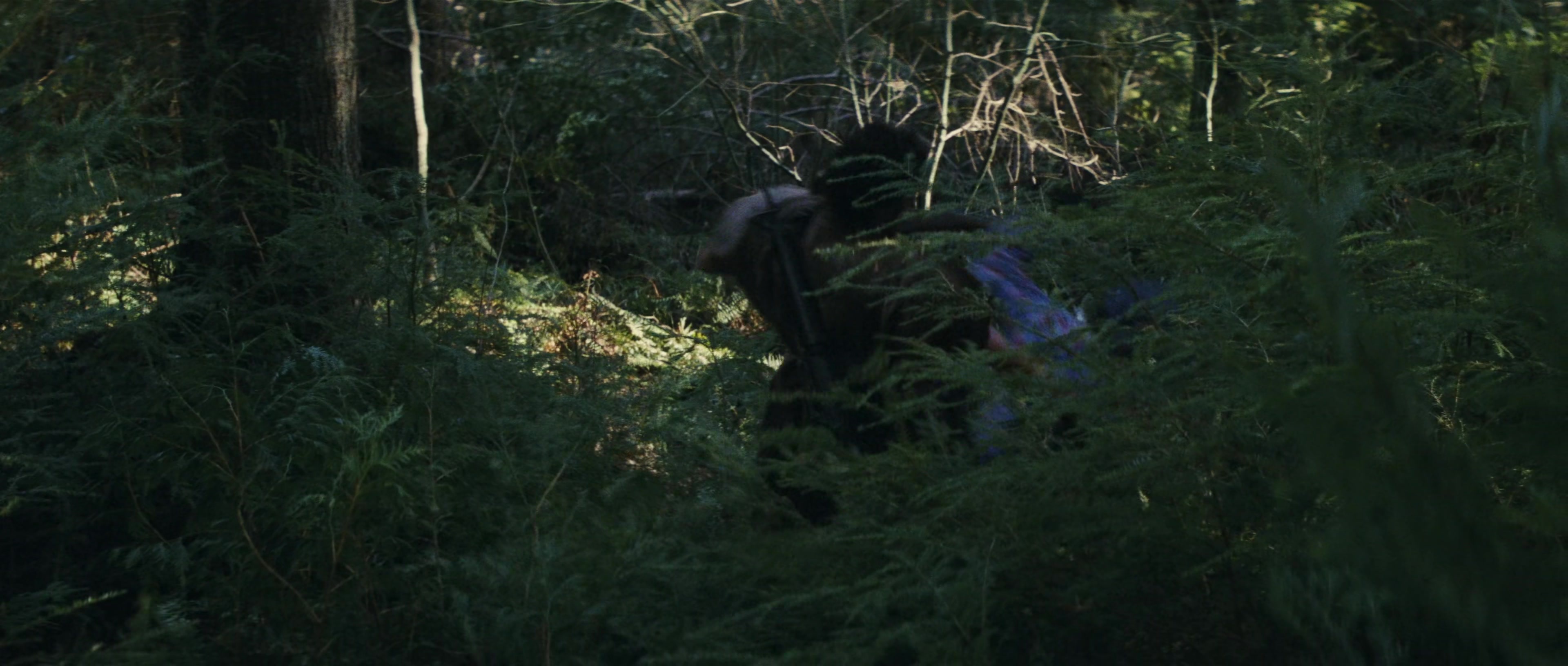 First Blood (1982), wide, 2.35:1 — film still