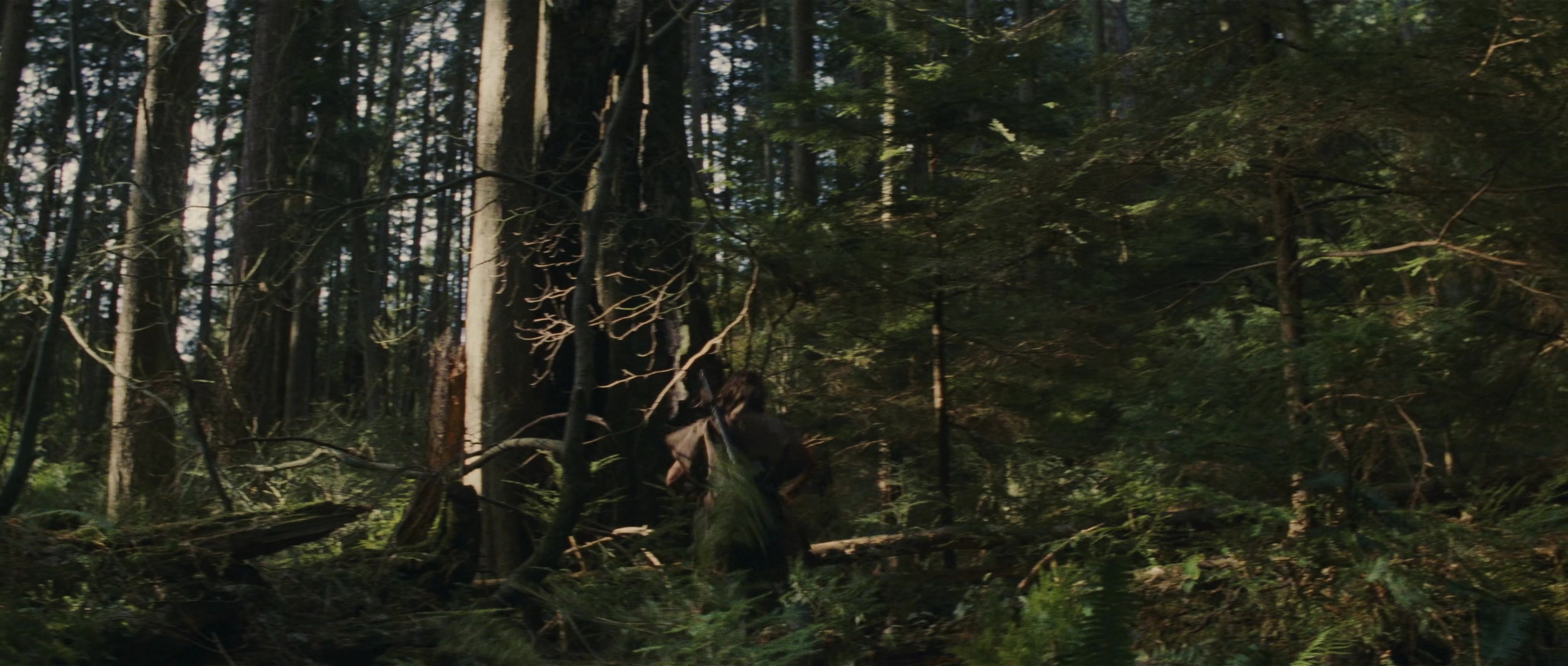 First Blood (1982), wide, 2.35:1 — film still