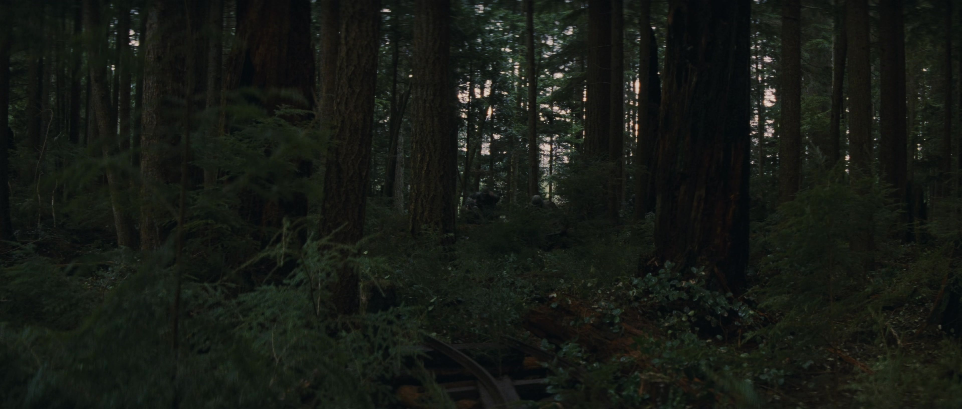 First Blood (1982), wide, 2.35:1 — film still