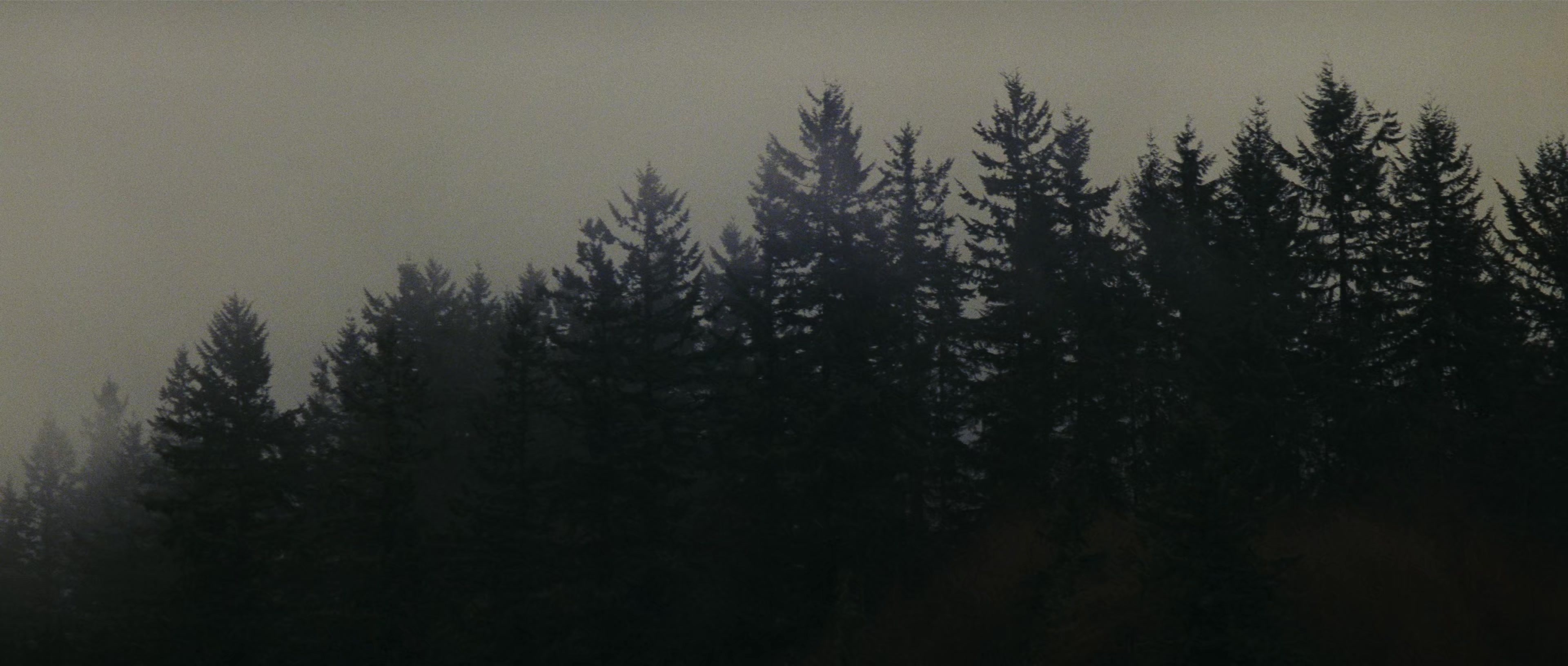 First Blood (1982), wide, 2.35:1 — film still