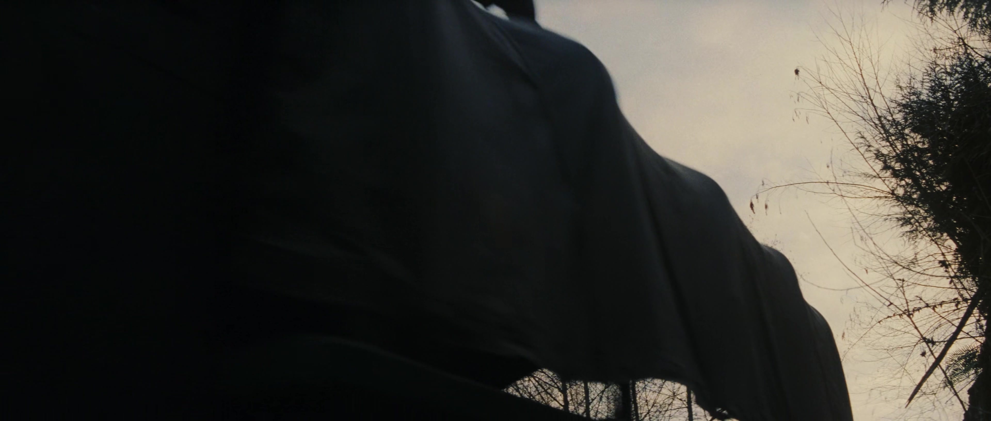 First Blood (1982), wide, 2.35:1 — film still