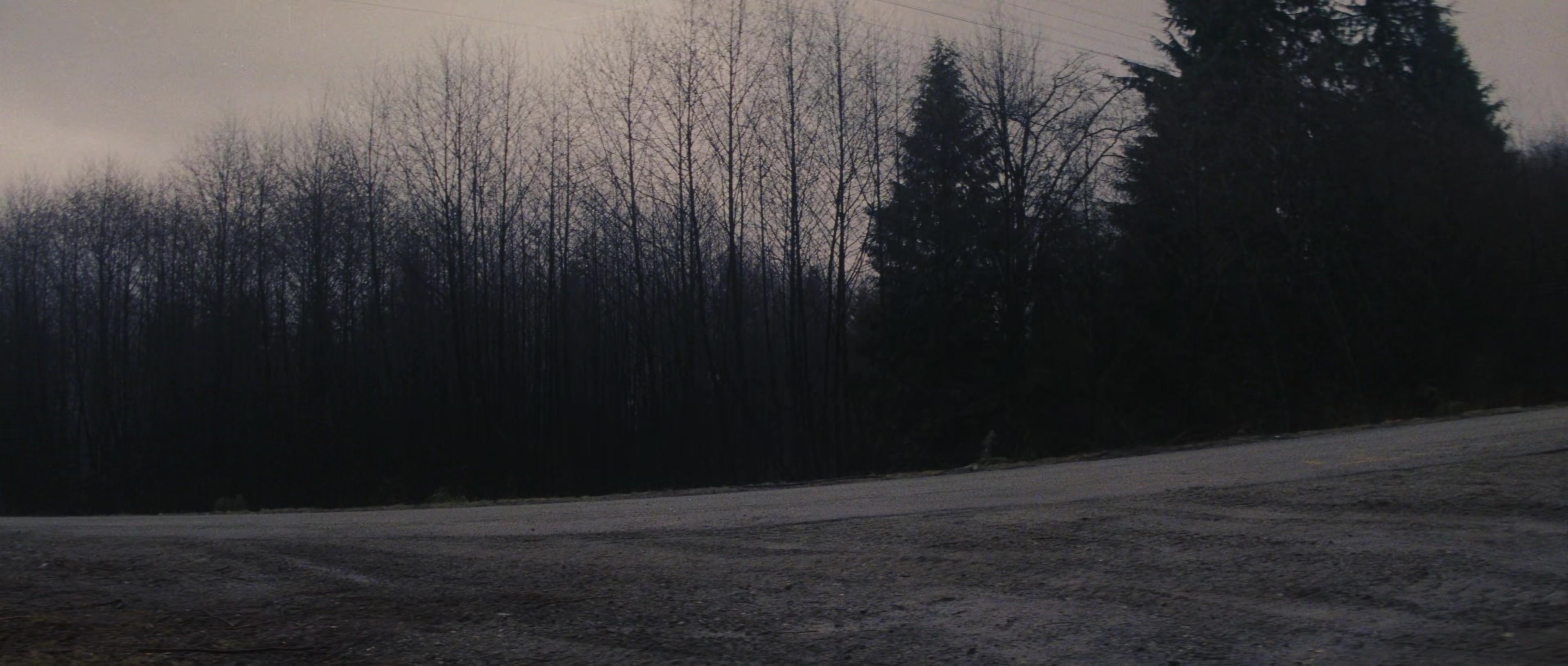 First Blood (1982), wide, 2.35:1 — film still
