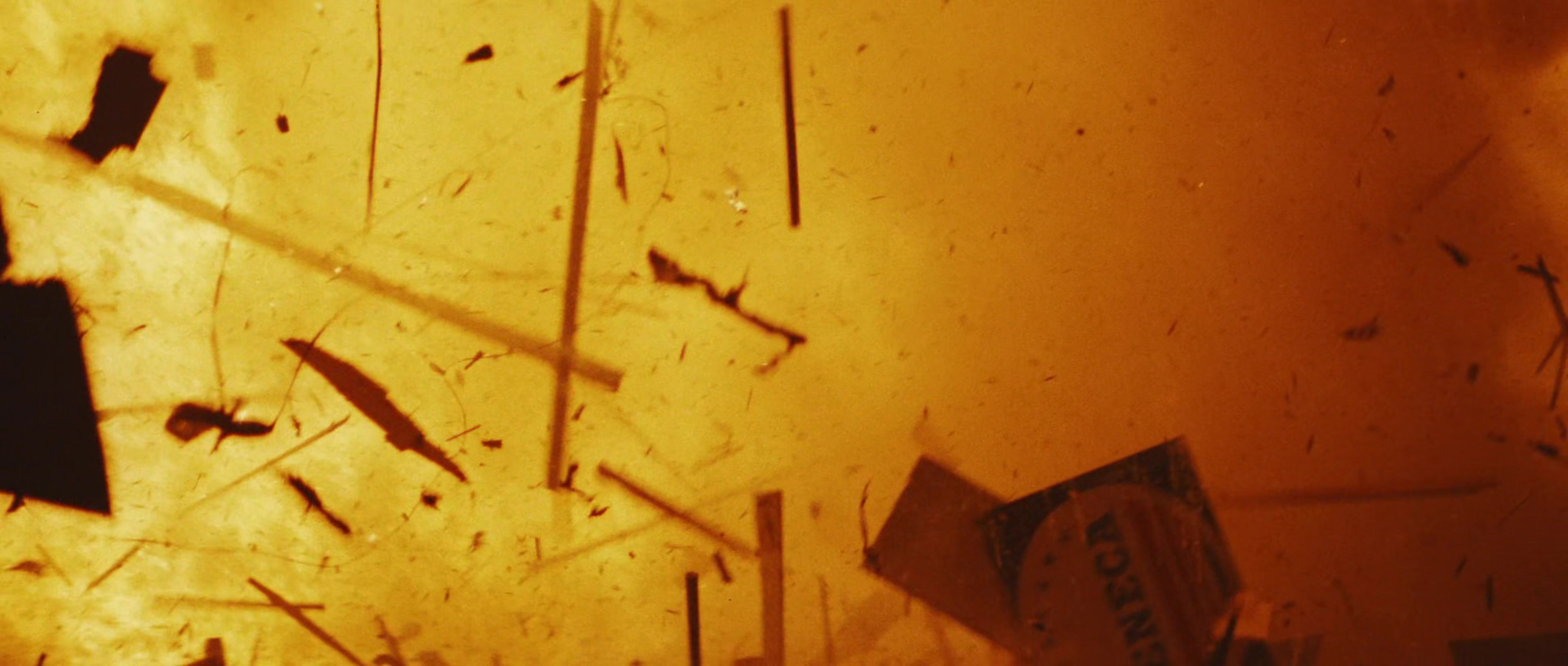 First Blood (1982), wide, 2.35:1 — film still