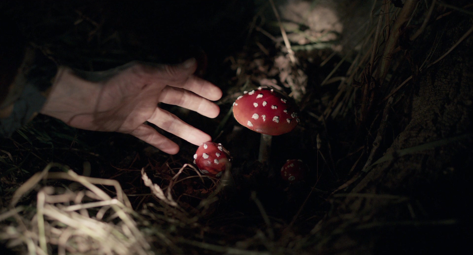 Only Lovers Left Alive (2013), unknown, 1.85:1 — film still