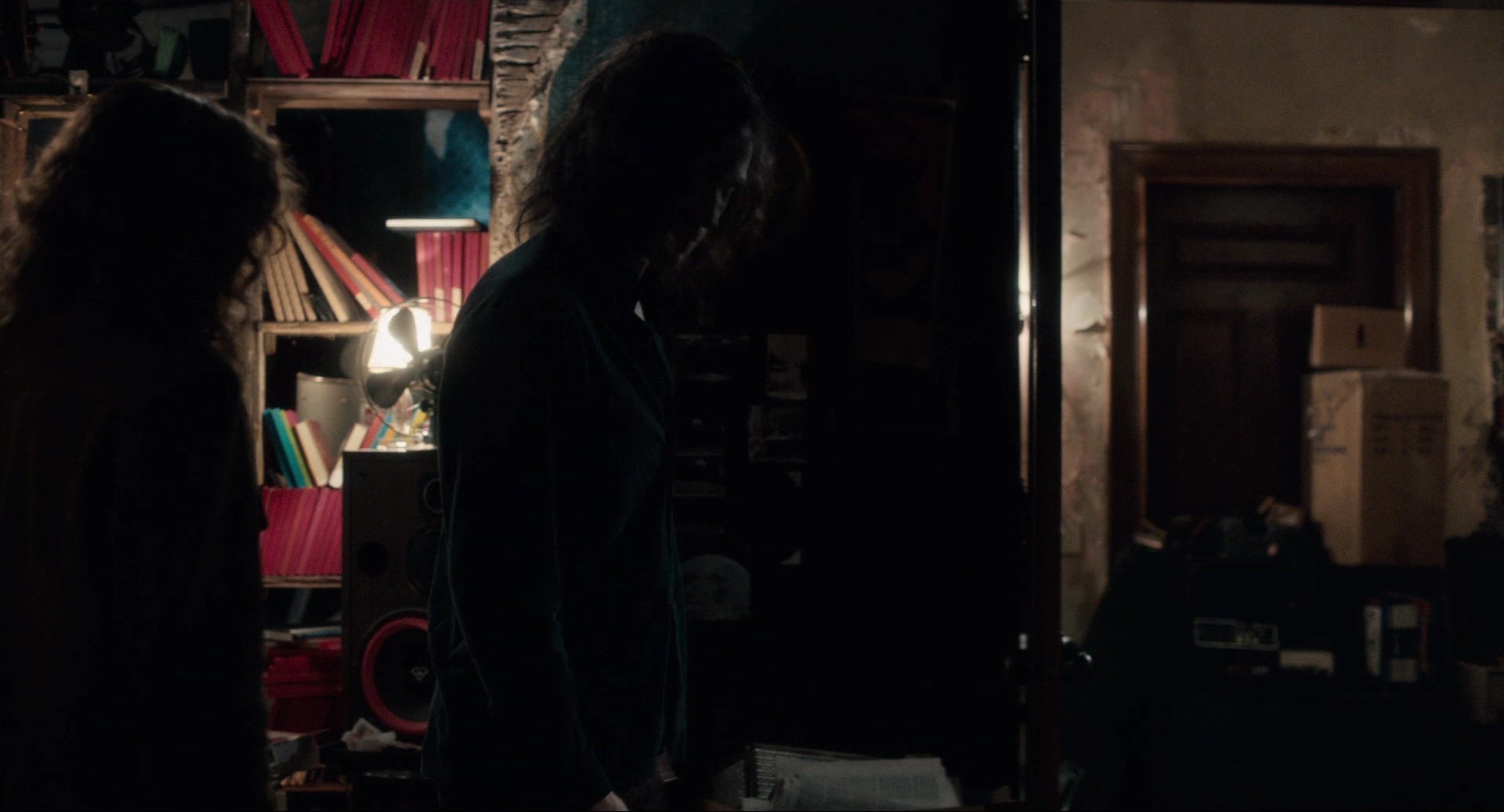 Only Lovers Left Alive (2013), wide, 1.85:1 — film still
