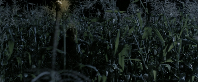 Wide shot frame from The Maze Runner — night, flower