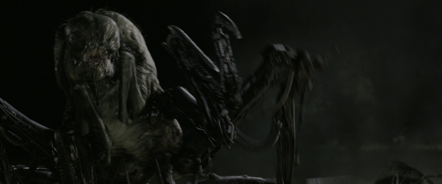 Wide shot frame from The Maze Runner — standing, animal, bird