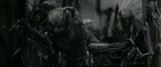 Wide shot frame from The Maze Runner — person